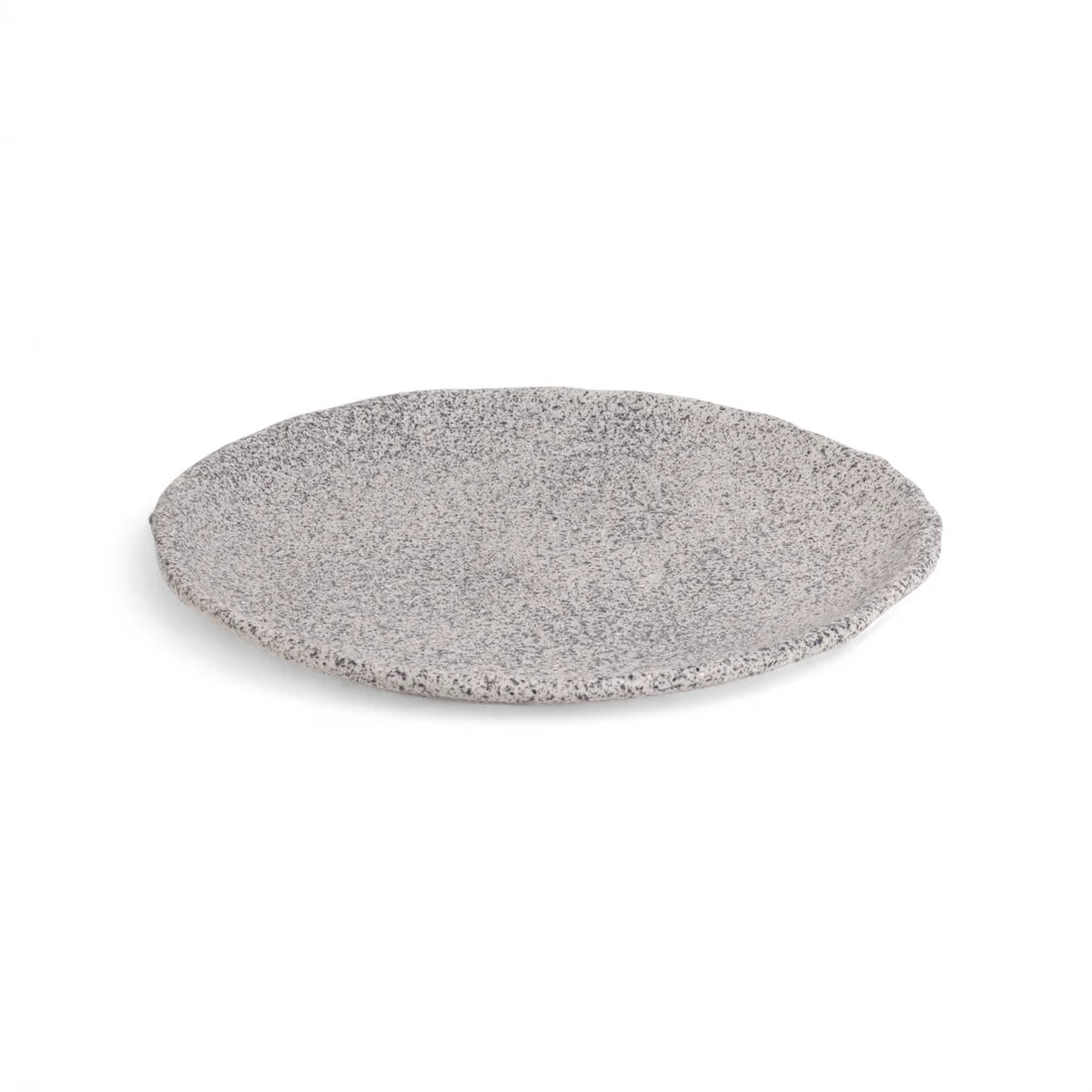 NEWLITHIC gray porcelain dinner plate