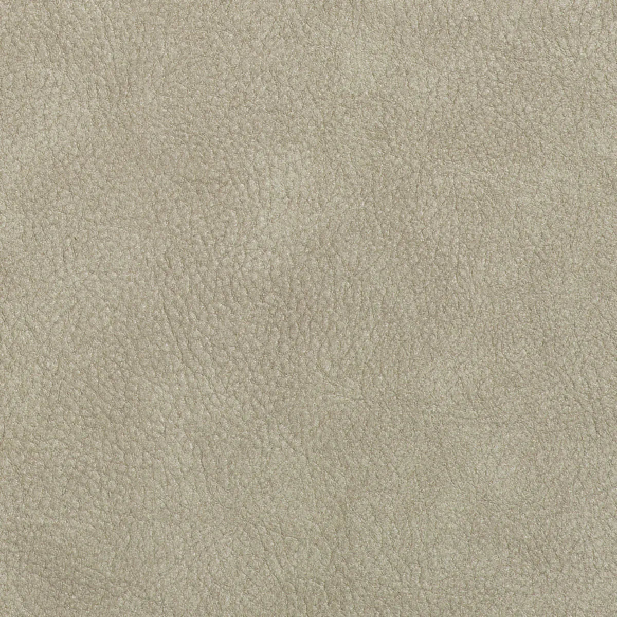 Set of velvet chairs Cliff light gray