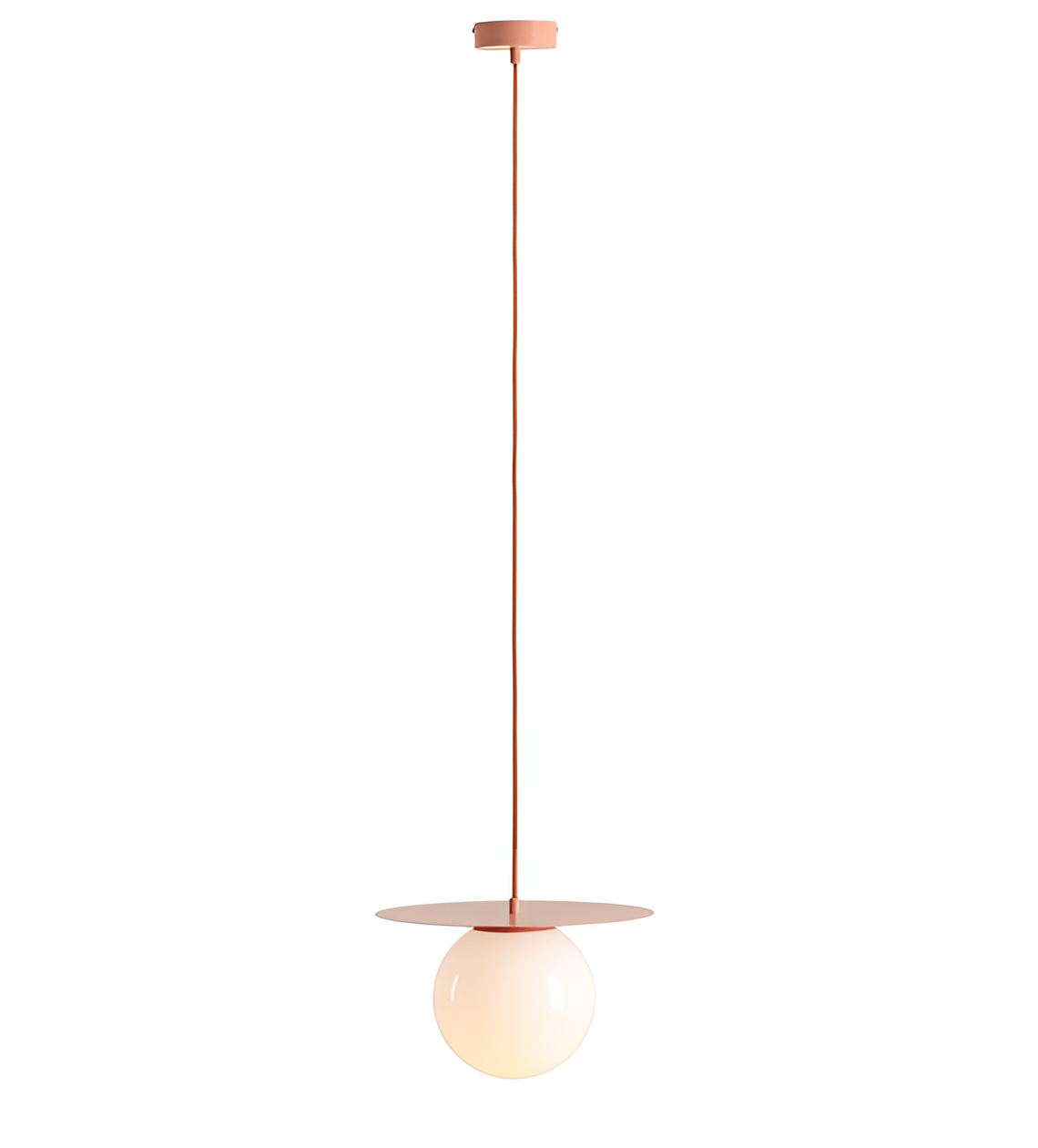 Hanging lamp coral loop