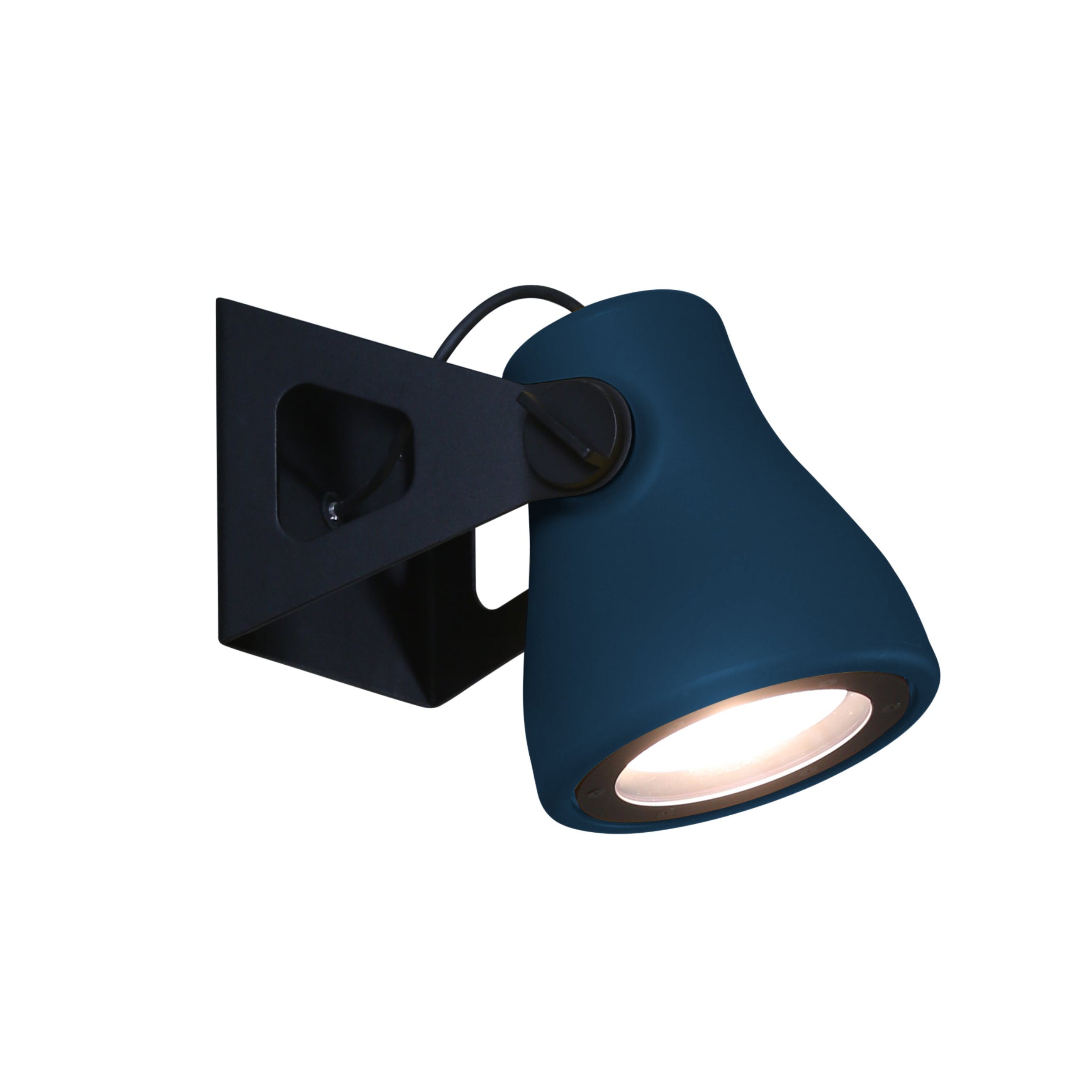 FROG Blue Outdoor Wall Lamp