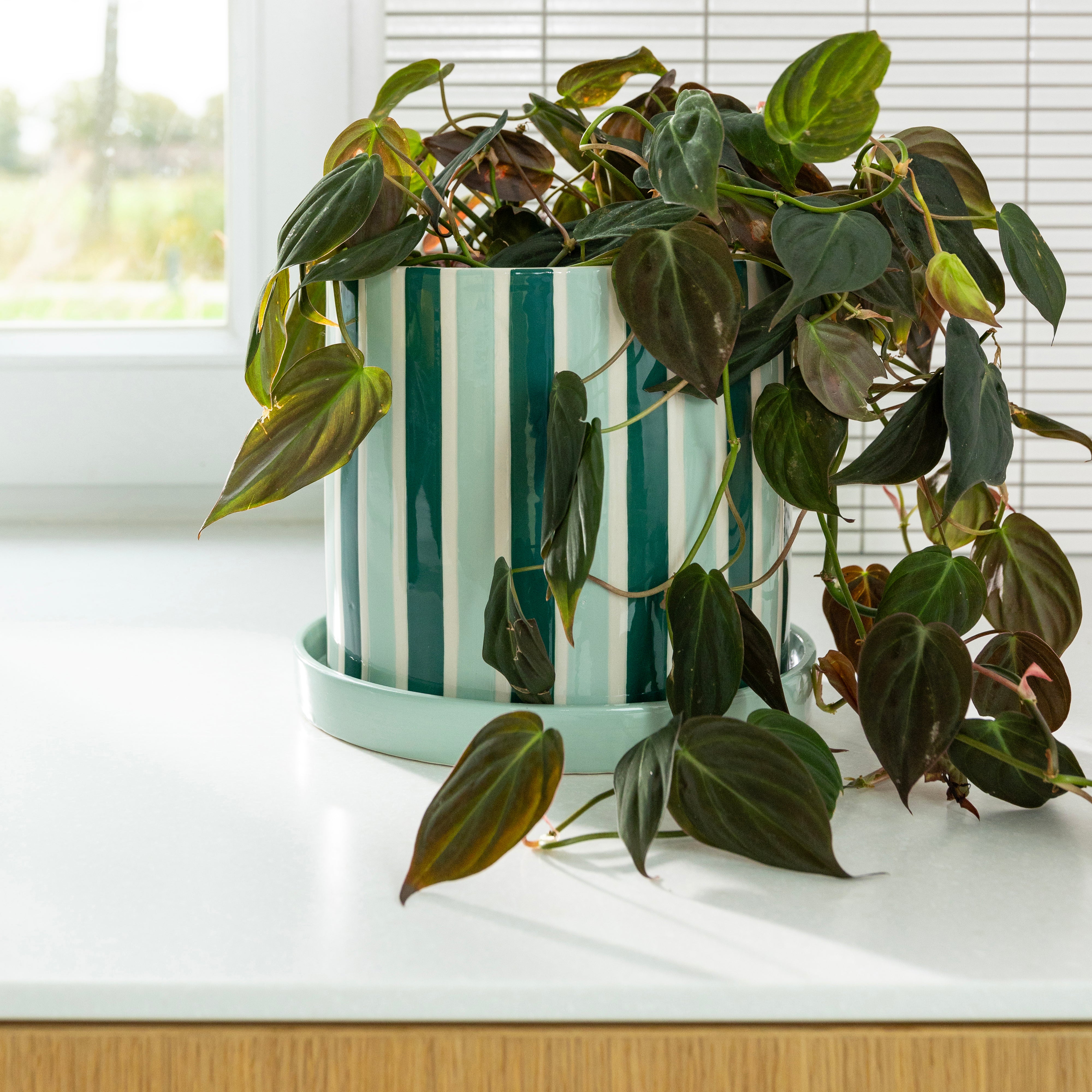 CLASH STRIPE pot in green with mint and white