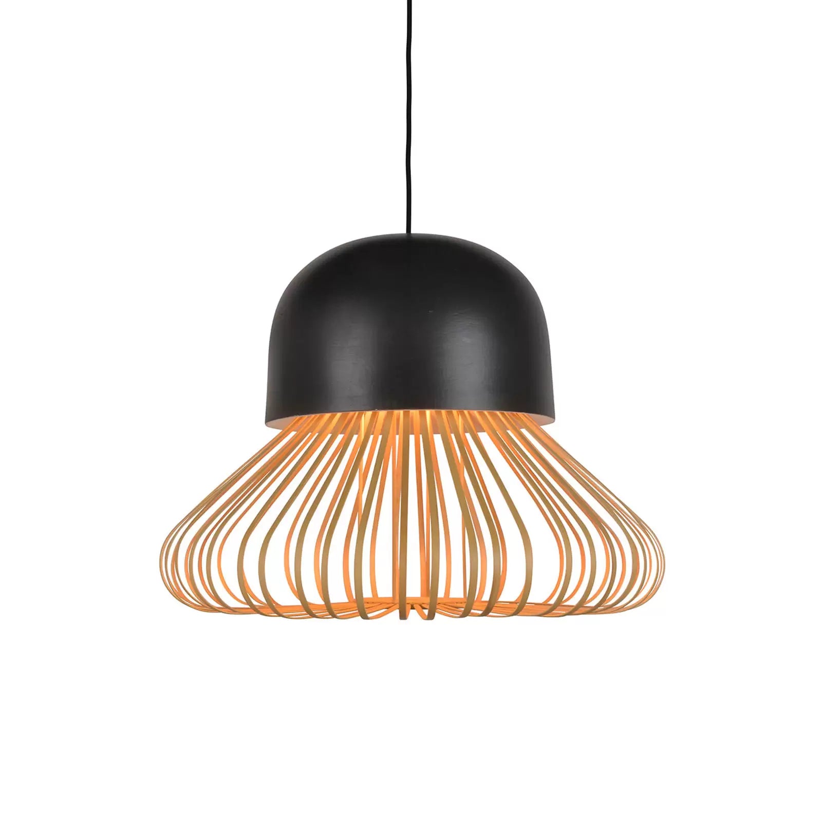 Schwarze Anemos hängende Lampe