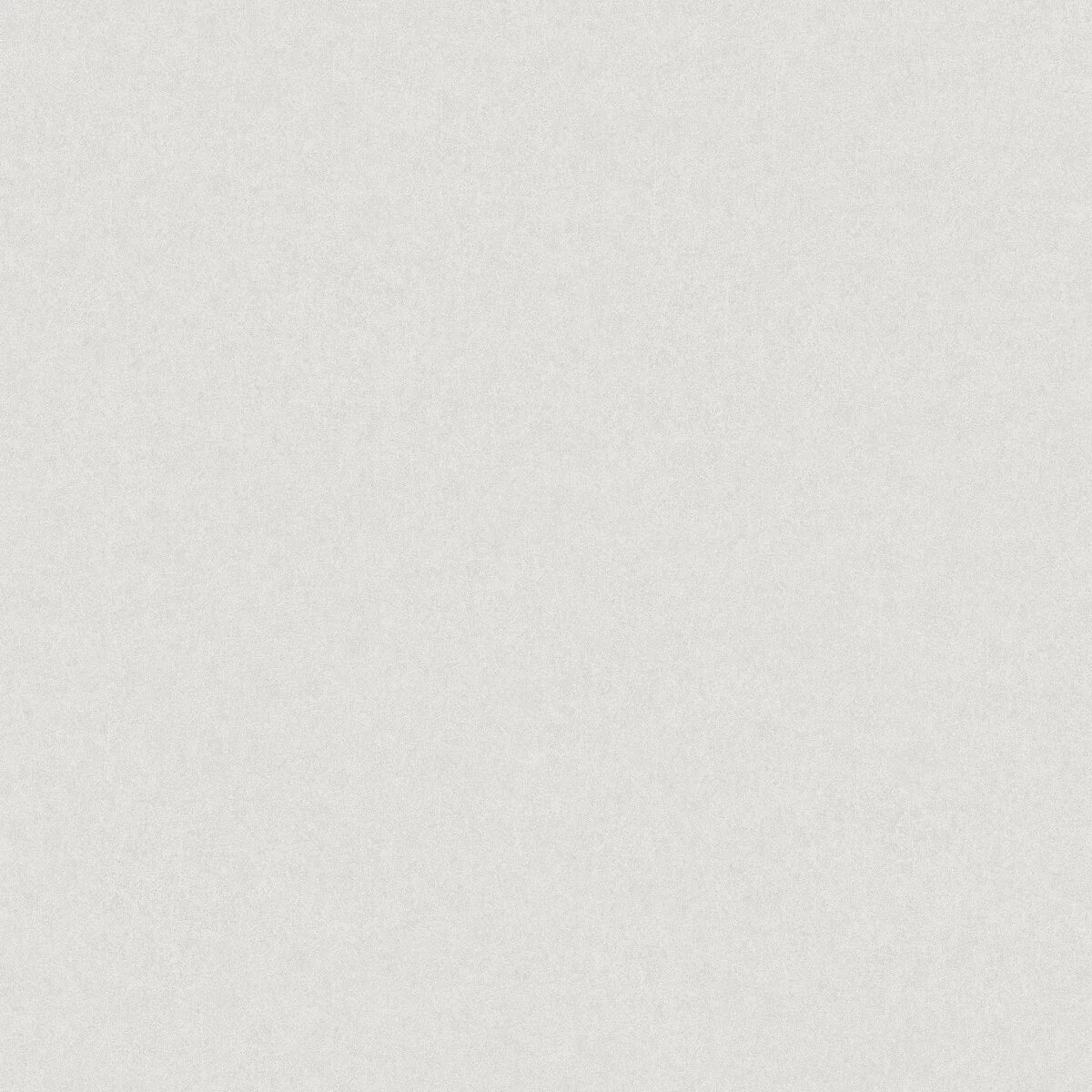 Vlies-Tapete aus Papier in Steinoptik KIM hellgrau