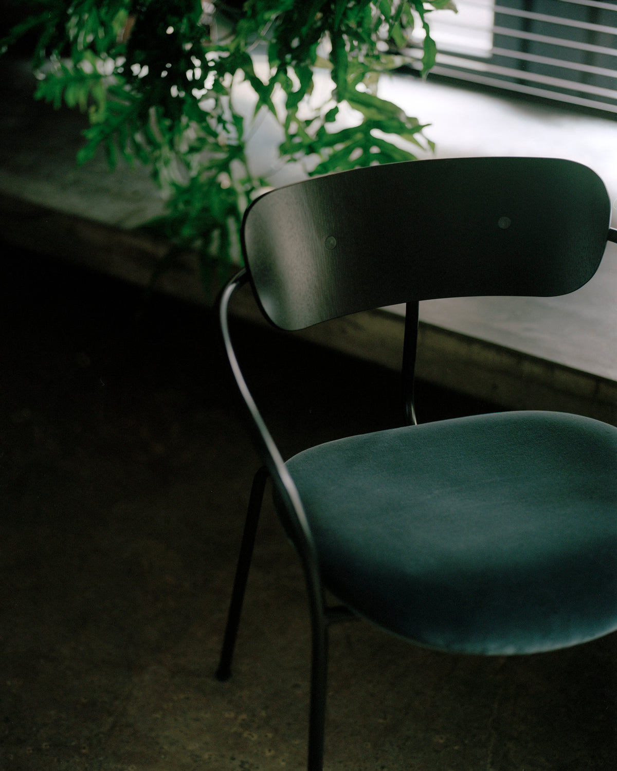 PAVILION AV4 Chair in black lacquered oak with an upholstered seat and black base