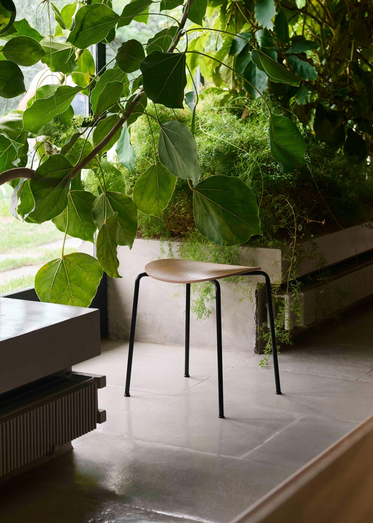 PAVILION AV36 Stool in oak wood with a black steel base