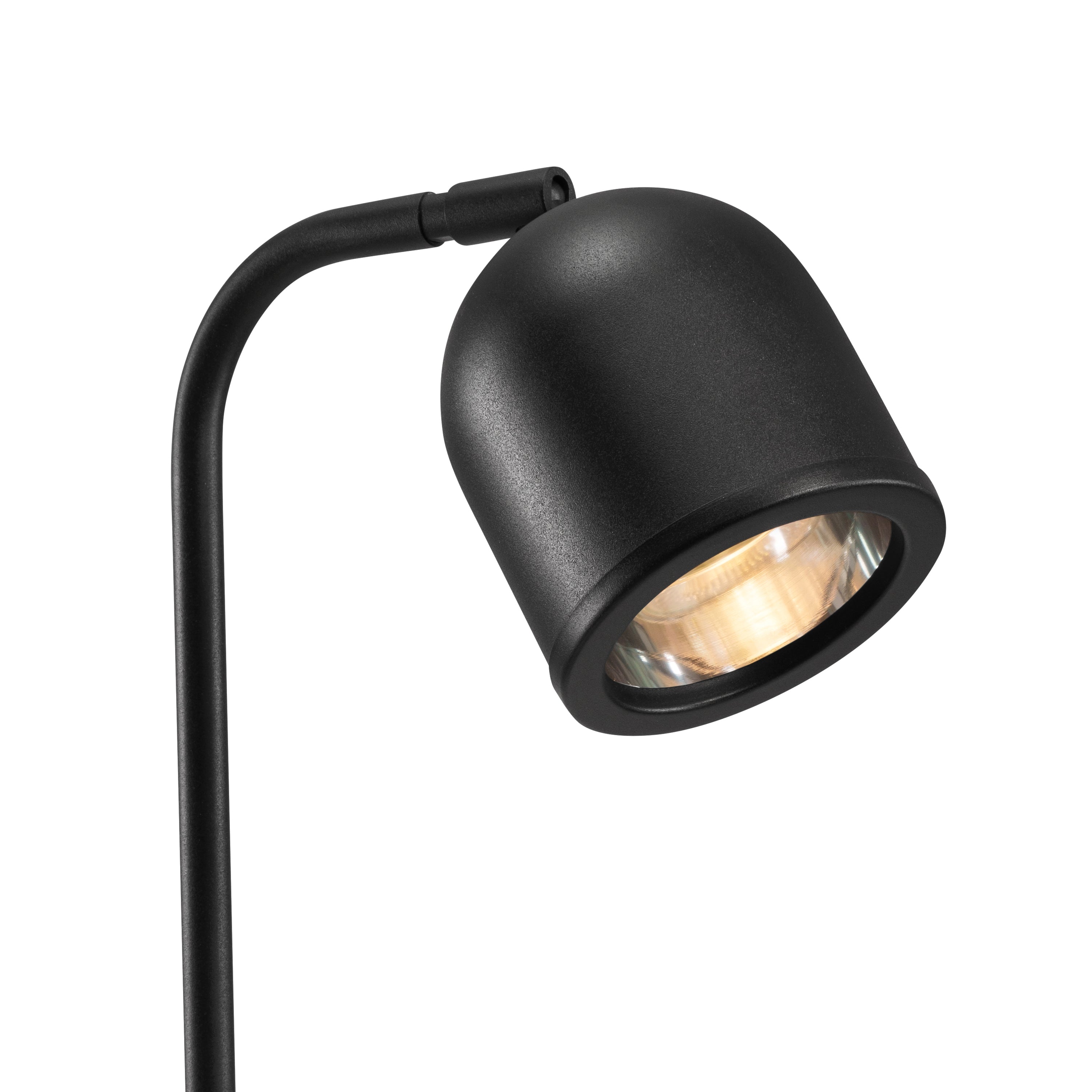Desk lamp BOTANICA WOOD black
