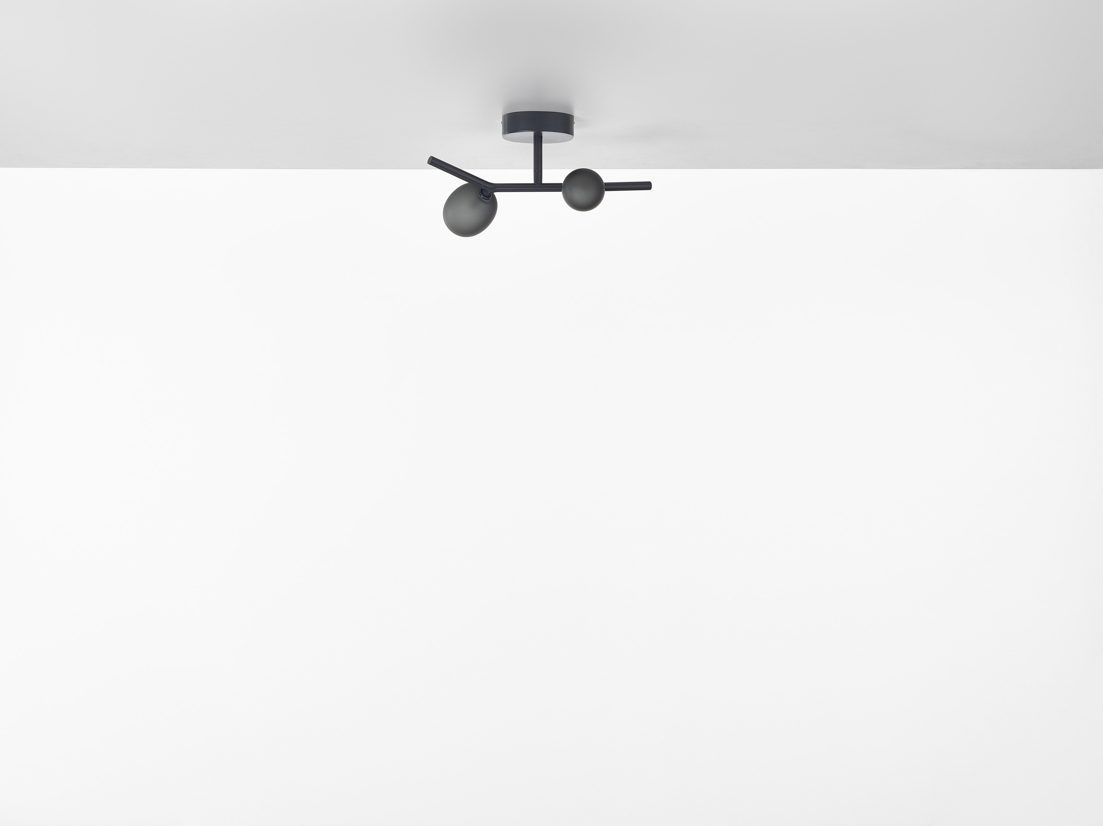 Ivy ceiling lamp matte glass