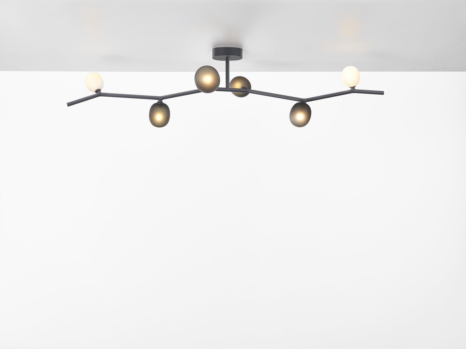 Ivy ceiling lamp matte glass