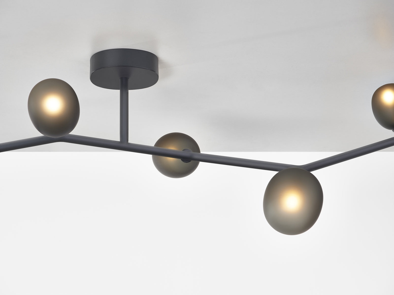 Ivy ceiling lamp matte glass