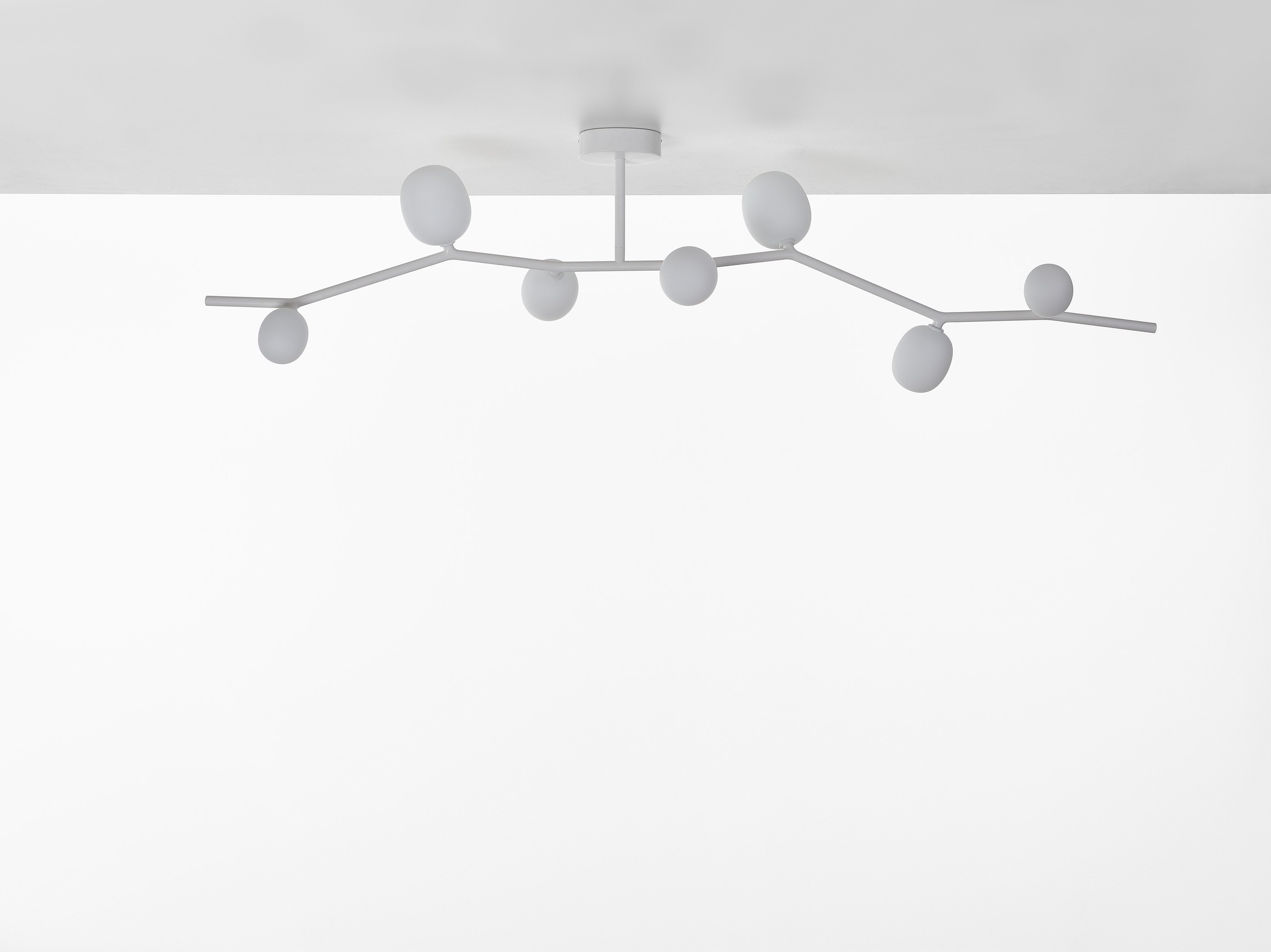 Ivy ceiling lamp matte glass