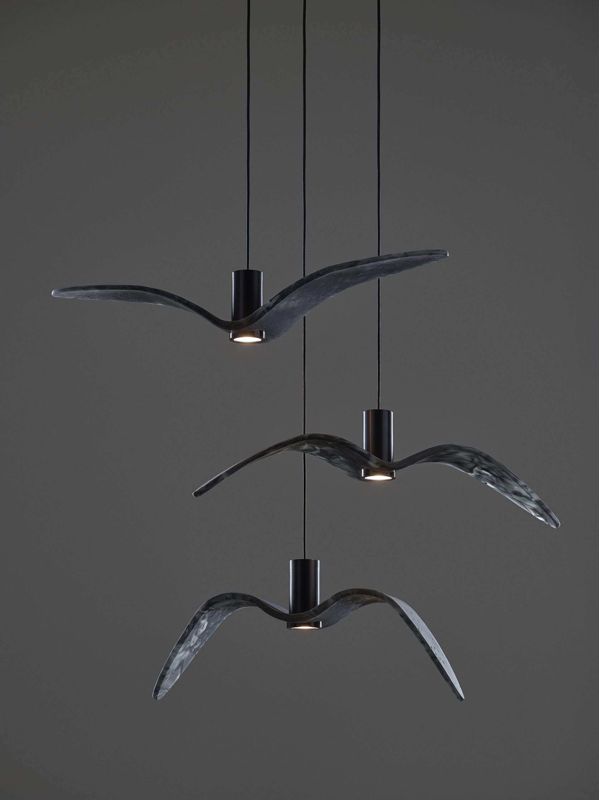 Outer hanging lamp Night Birds Exterior Glass