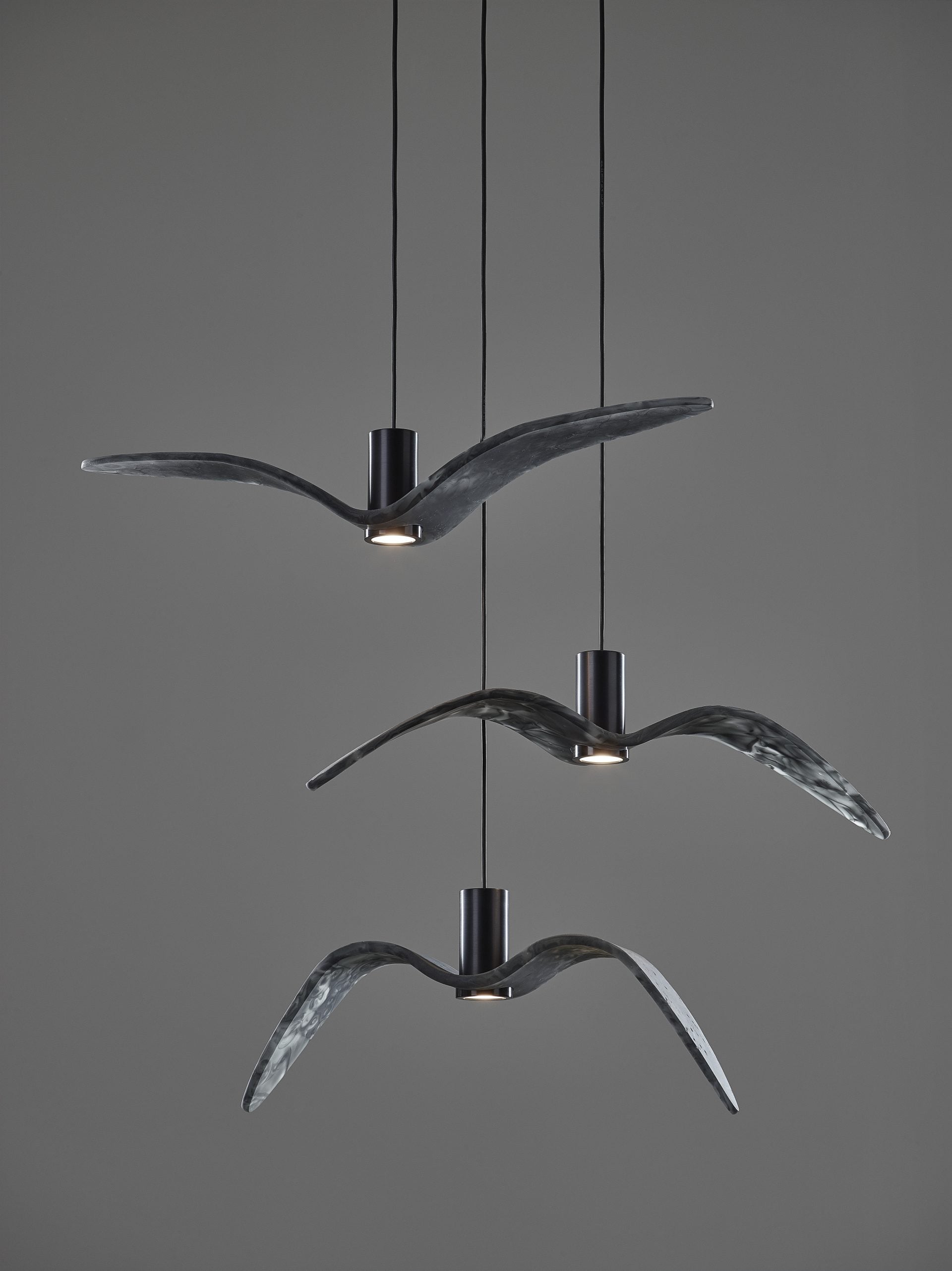 Outer hanging lamp Night Birds Exterior Glass