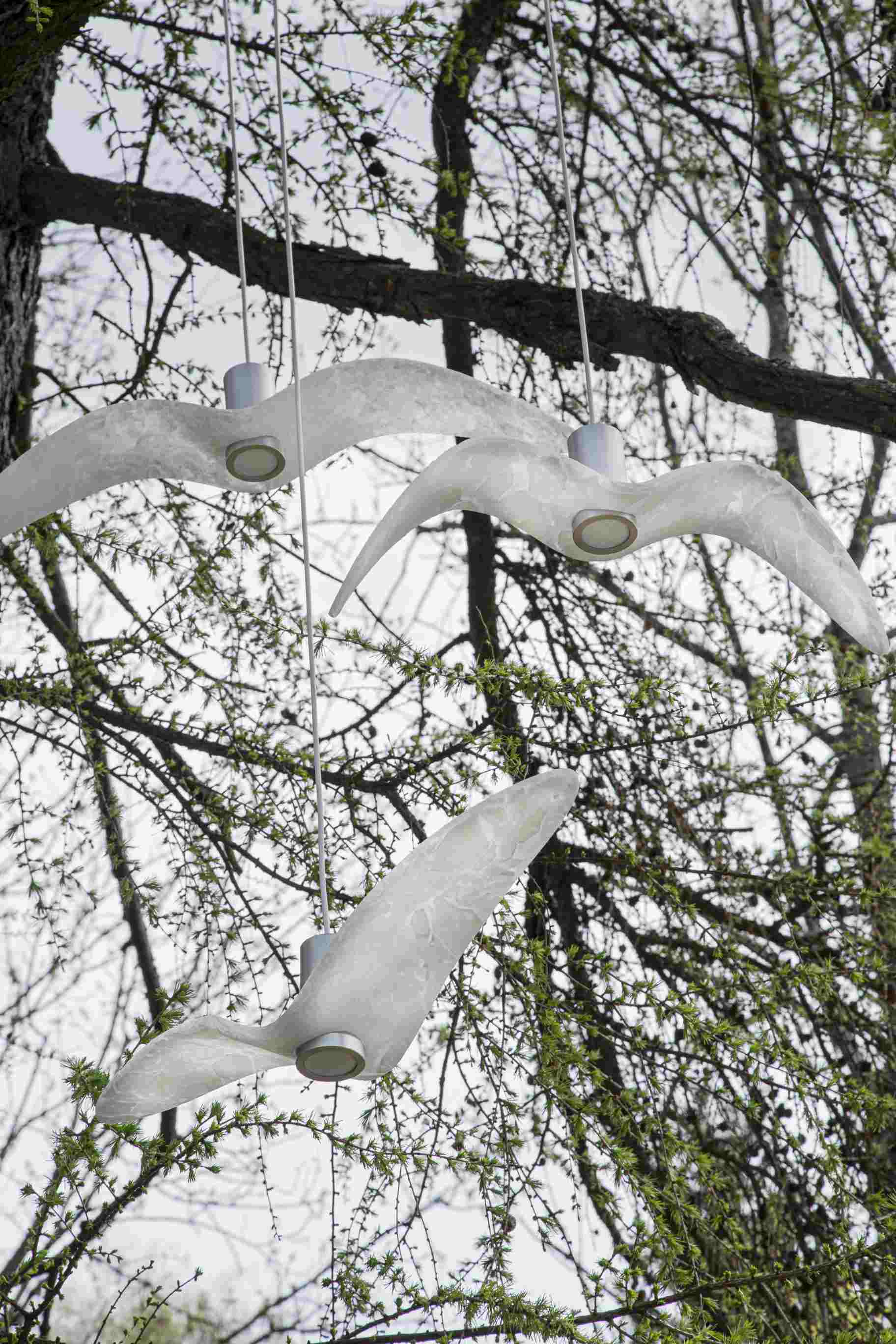 Outer hanging lamp Night Birds Exterior Glass
