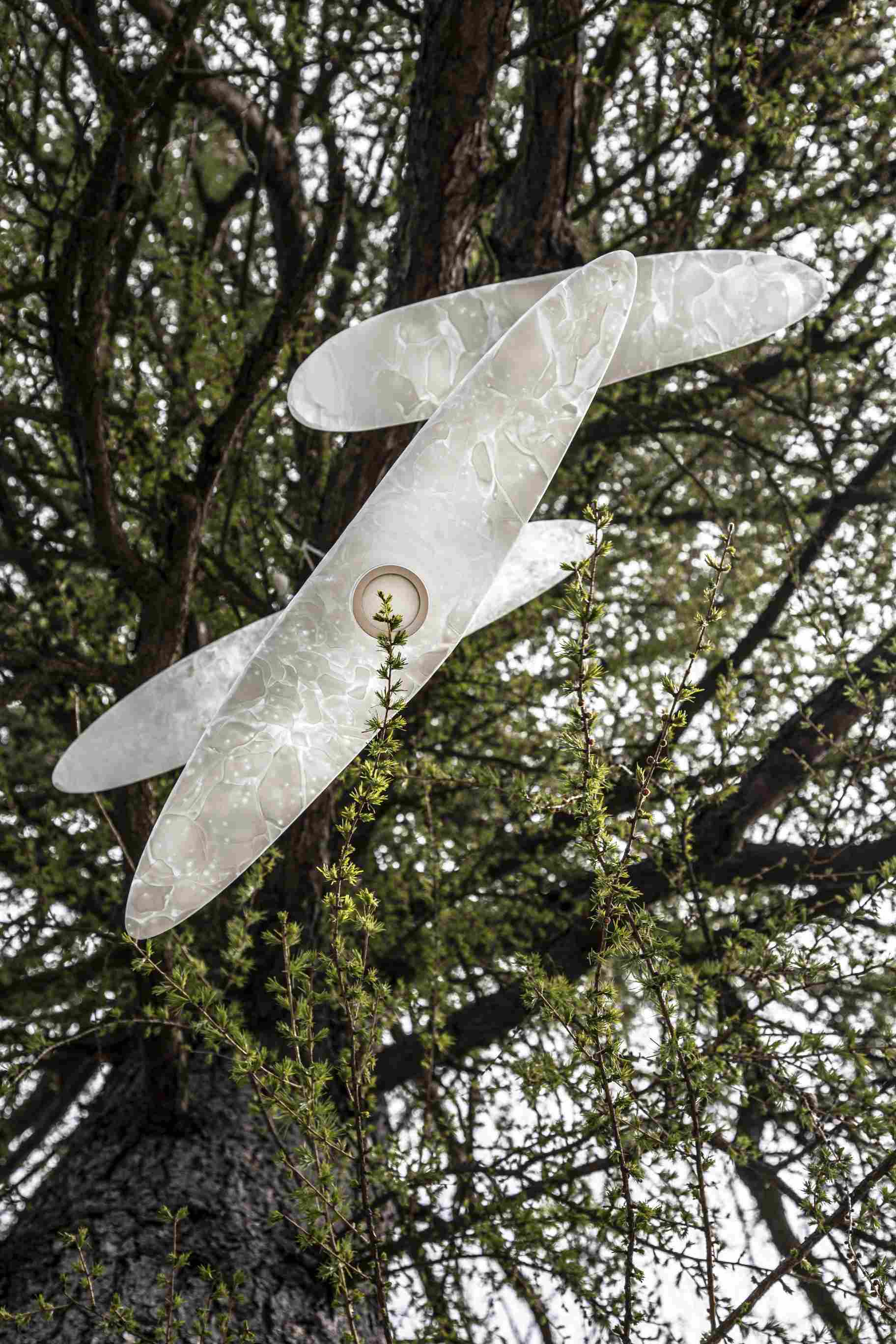 Outer hanging lamp Night Birds Exterior Glass