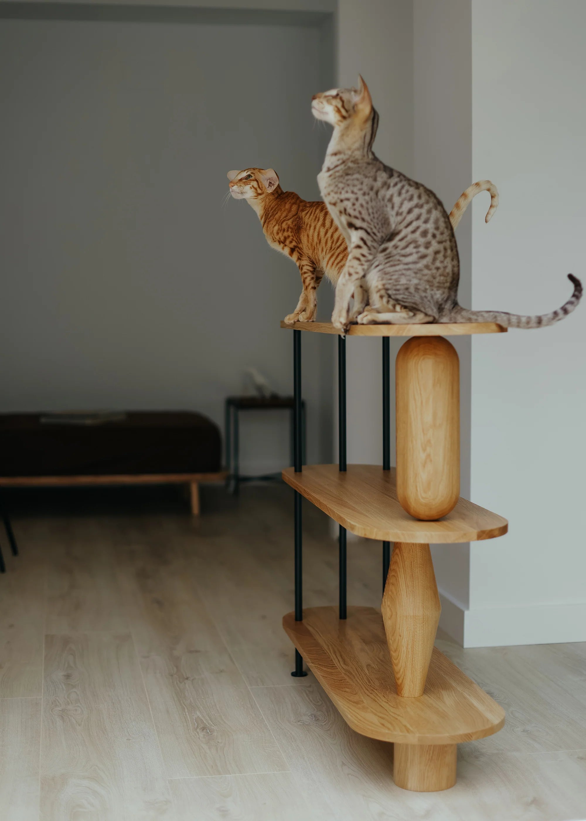 VAZOO Shelf Green Oak Wood