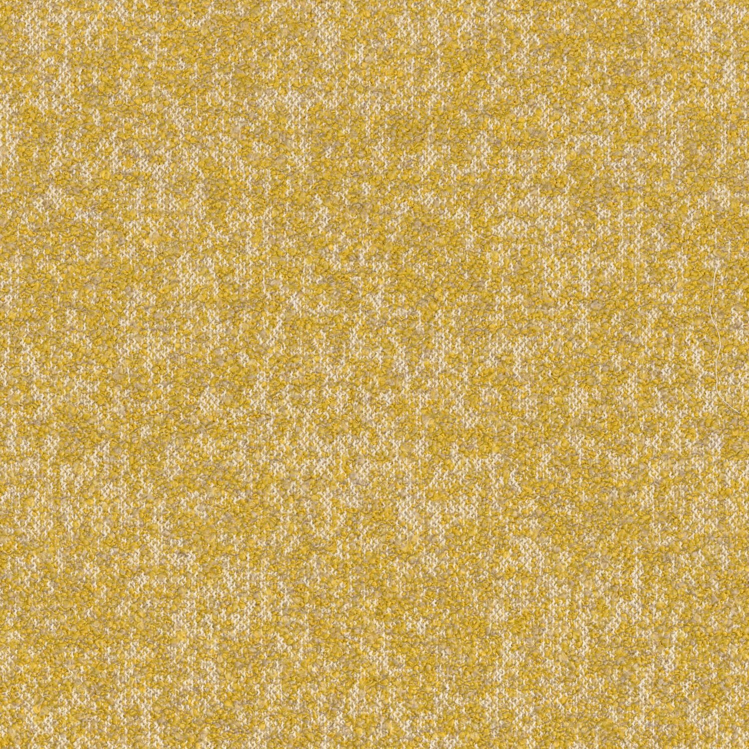 EXQUIS structural textile wallpaper - MUSTARD mustard