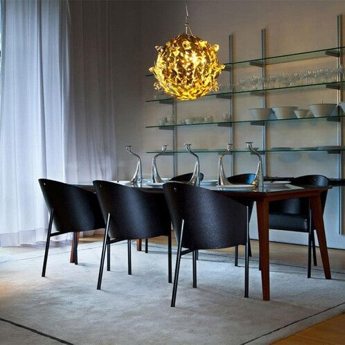 Costs chair mahogany veneer with black leather