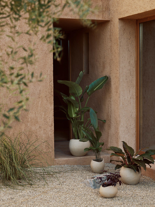 PLANTAS planter