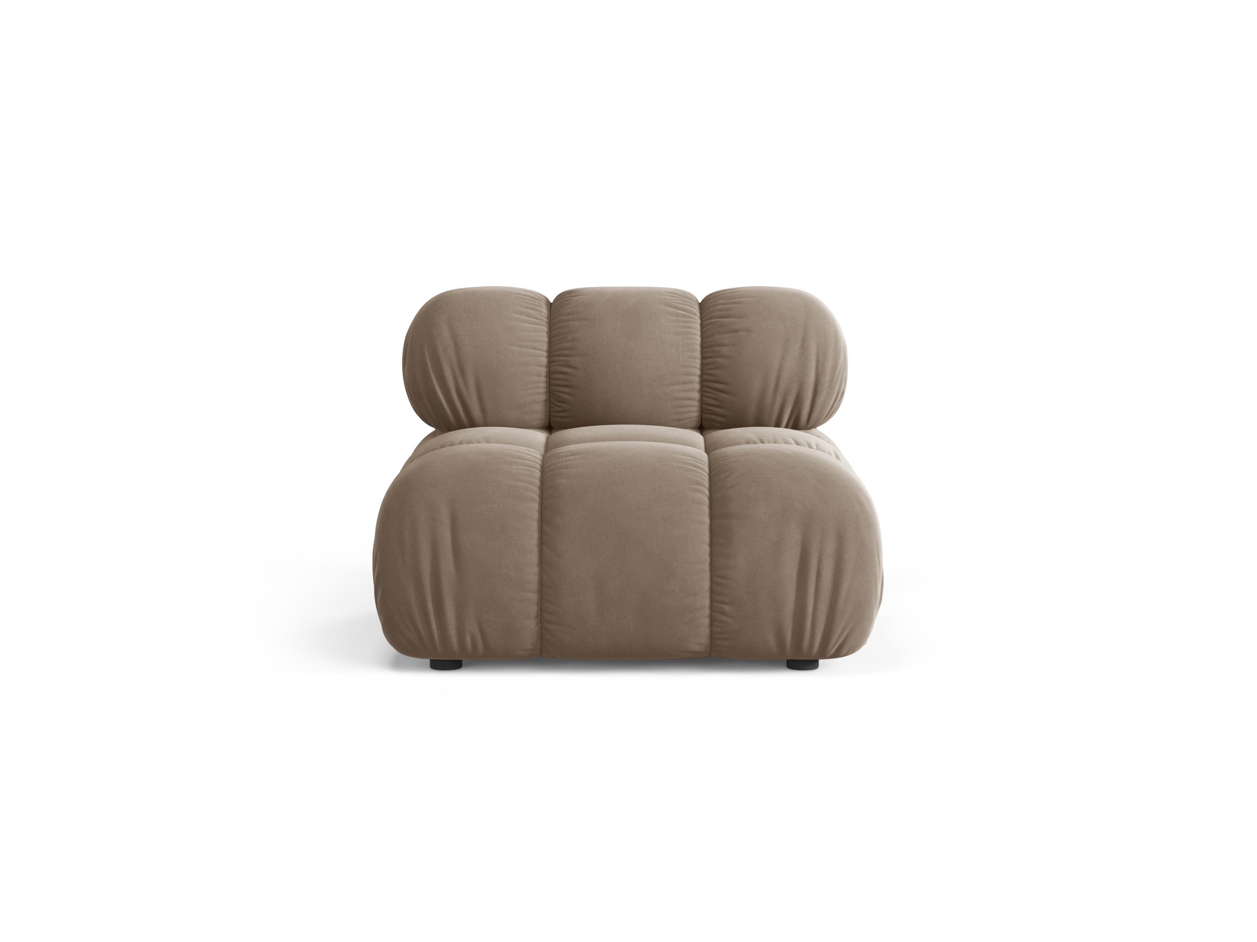 Armchair / velvet module BELLIS cappuccino