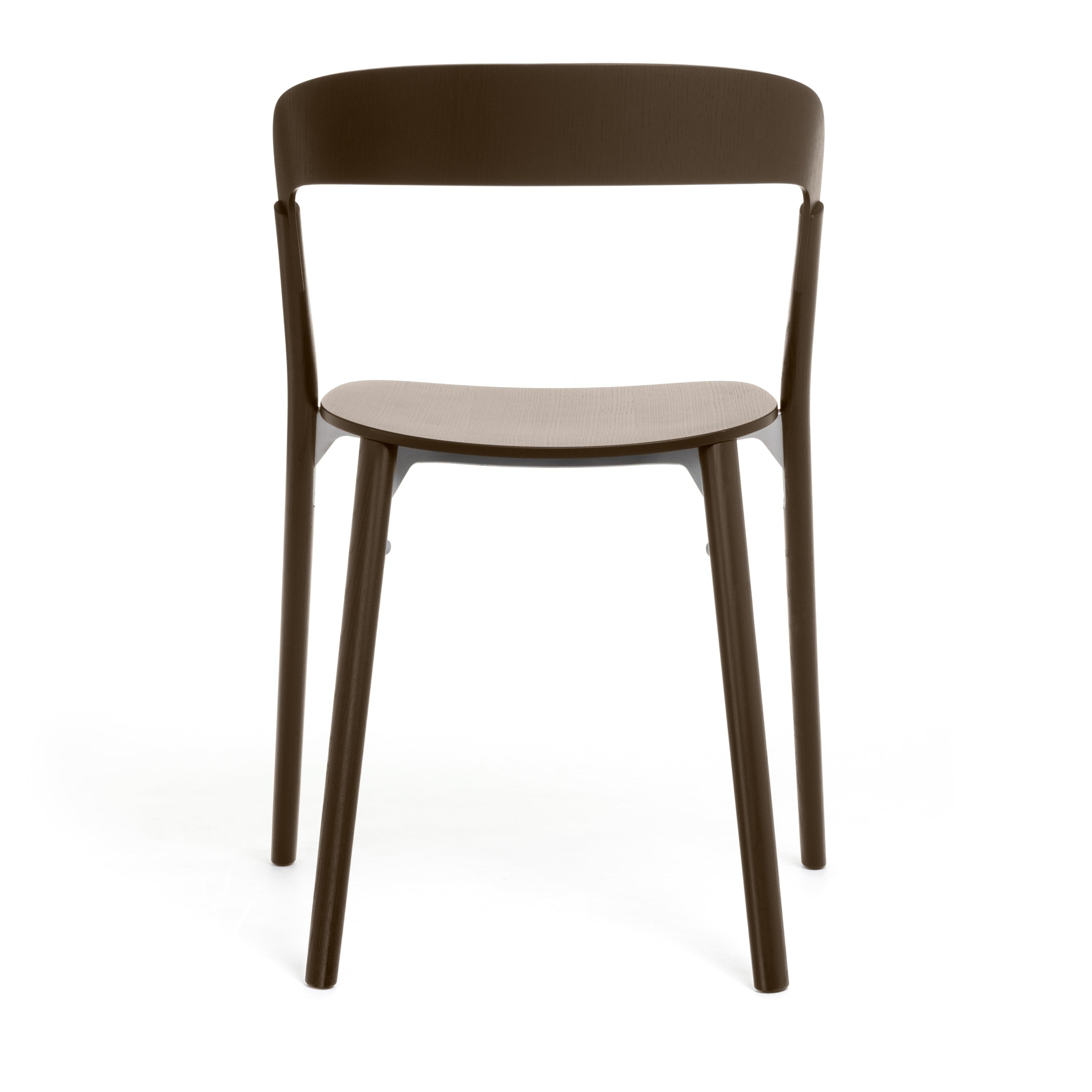 PILA chair in brown ash wood