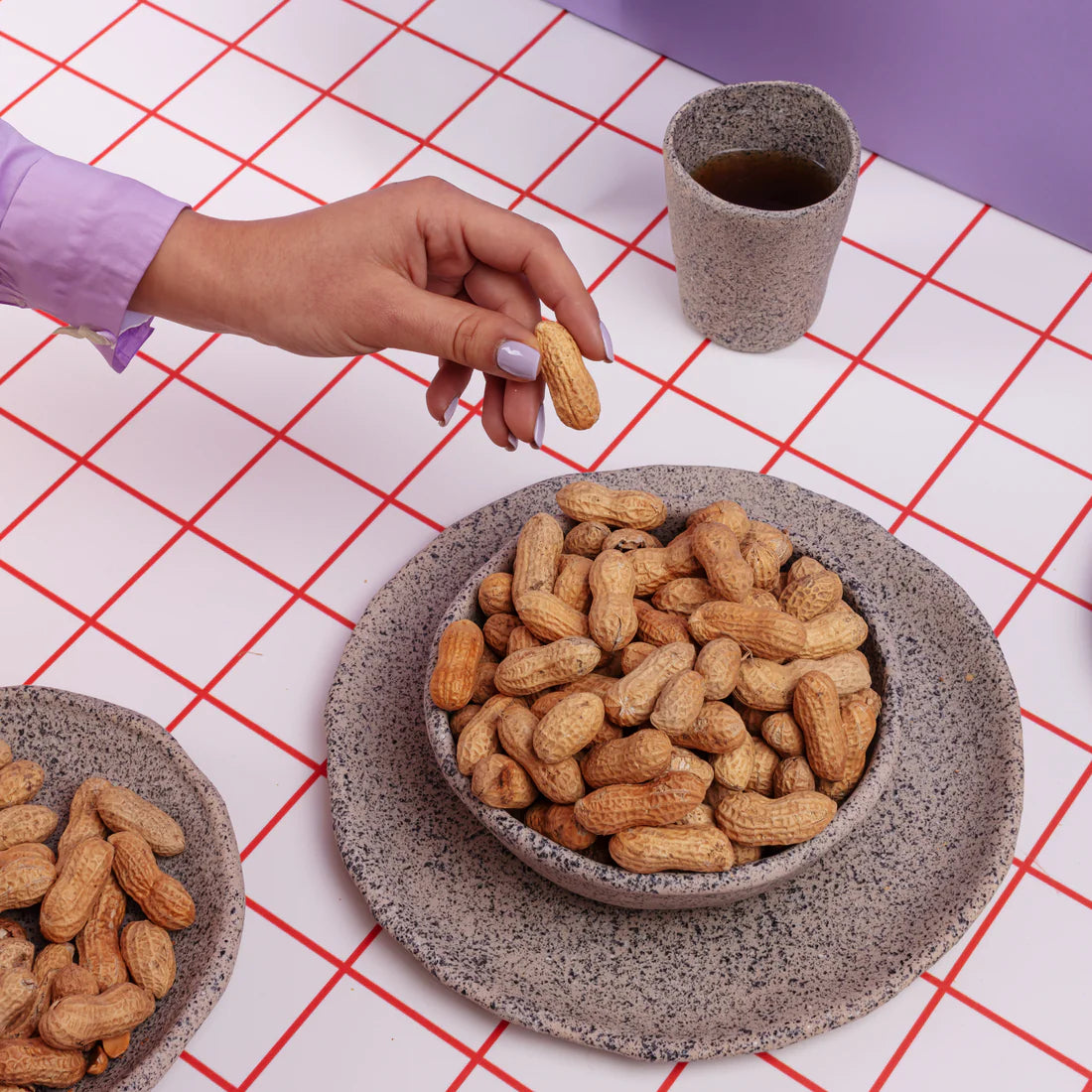 NEWLITHIC gray porcelain dinner plate