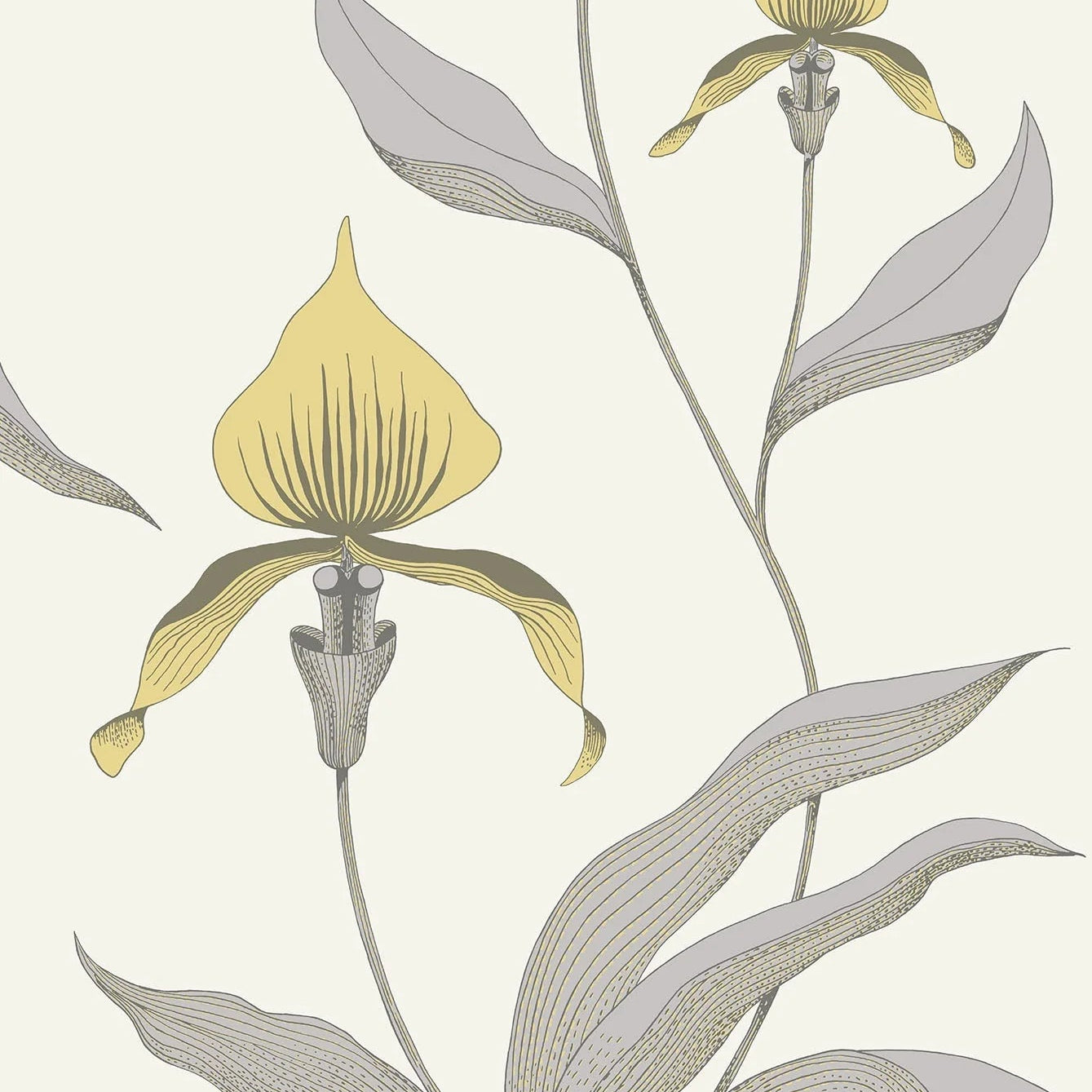 Wallpaper with a plant motif of orchids CONTEMPORARY COLLECTION - ORCHID yellow with gray