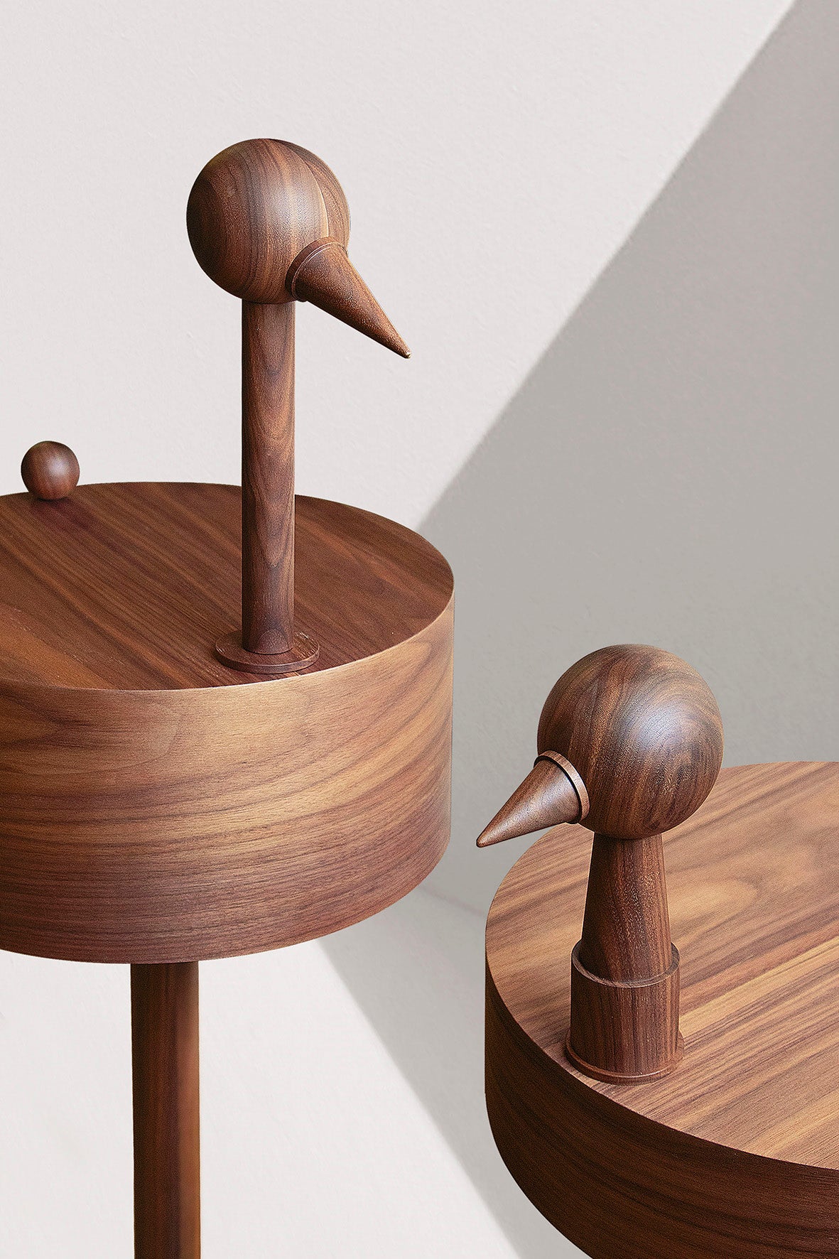 RARA AVIS coffee table with walnut veneer and marble base