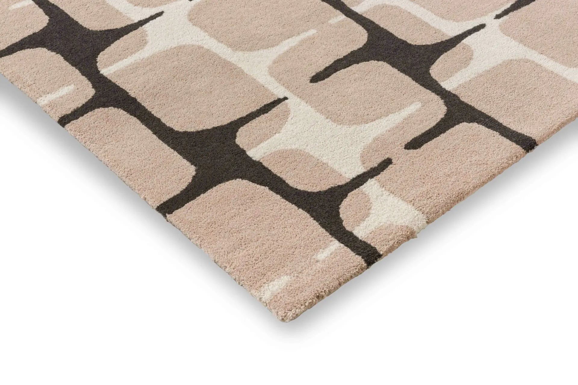 LOHKO SKY Beige Rug with Black and Coffee