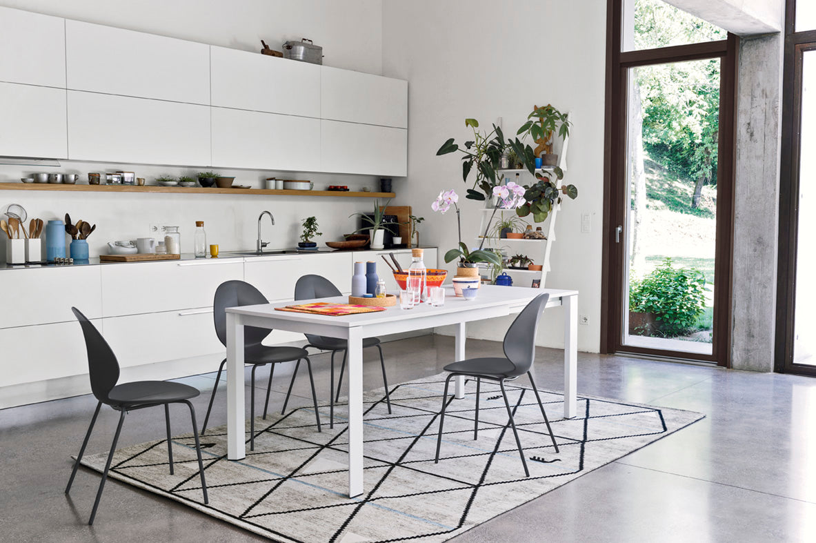 BASIL Chair with White Seat and White Metal Base