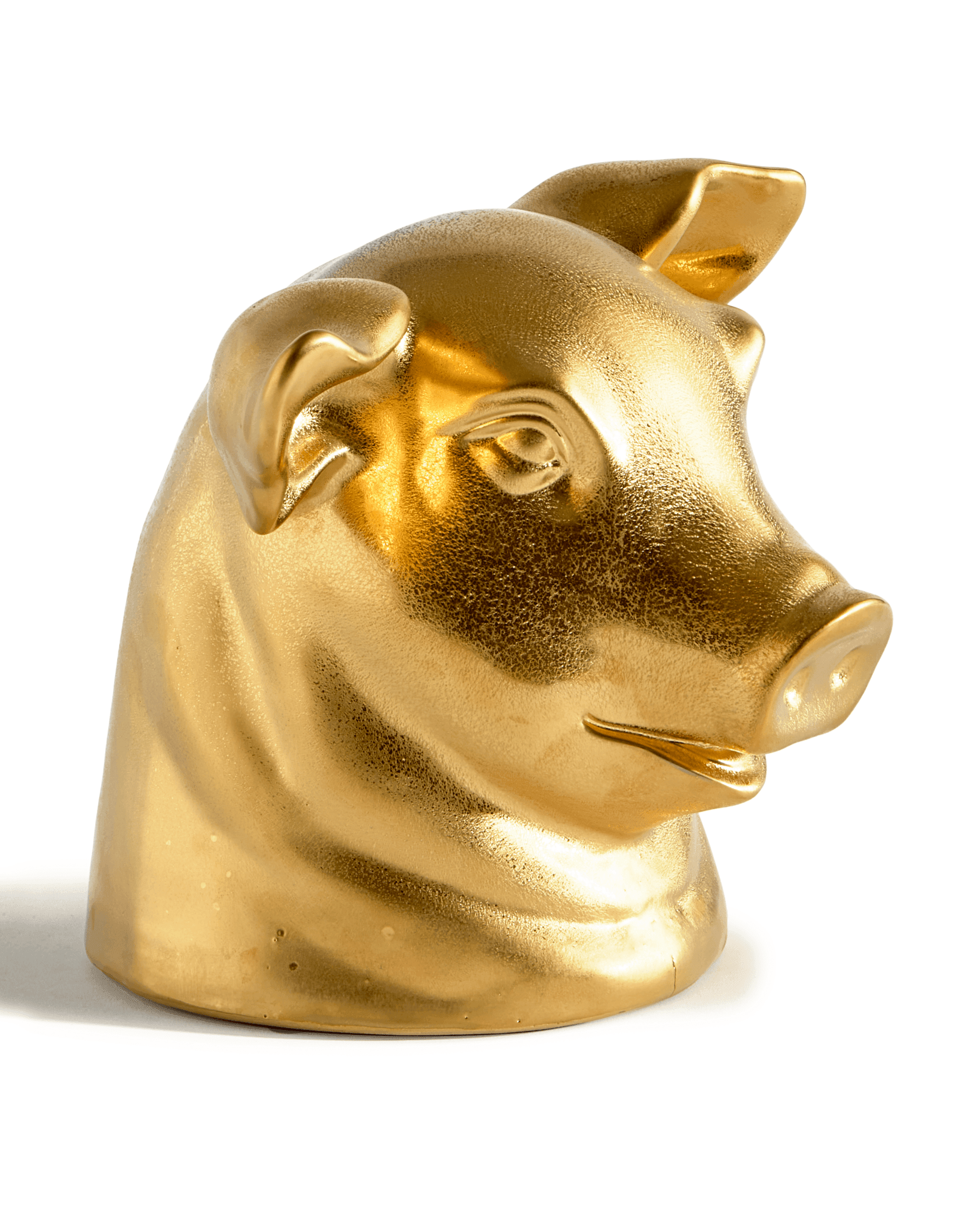 Dekoracyjna skarbonka DON'T EAT ME, SAVE ME - PIG złoty Pols Potten Eye on Design