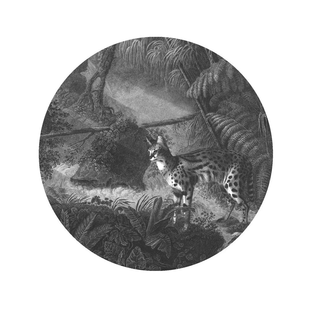 Wandbild in Kreisform DOTS - PALMS AND CATS ciemnoszary