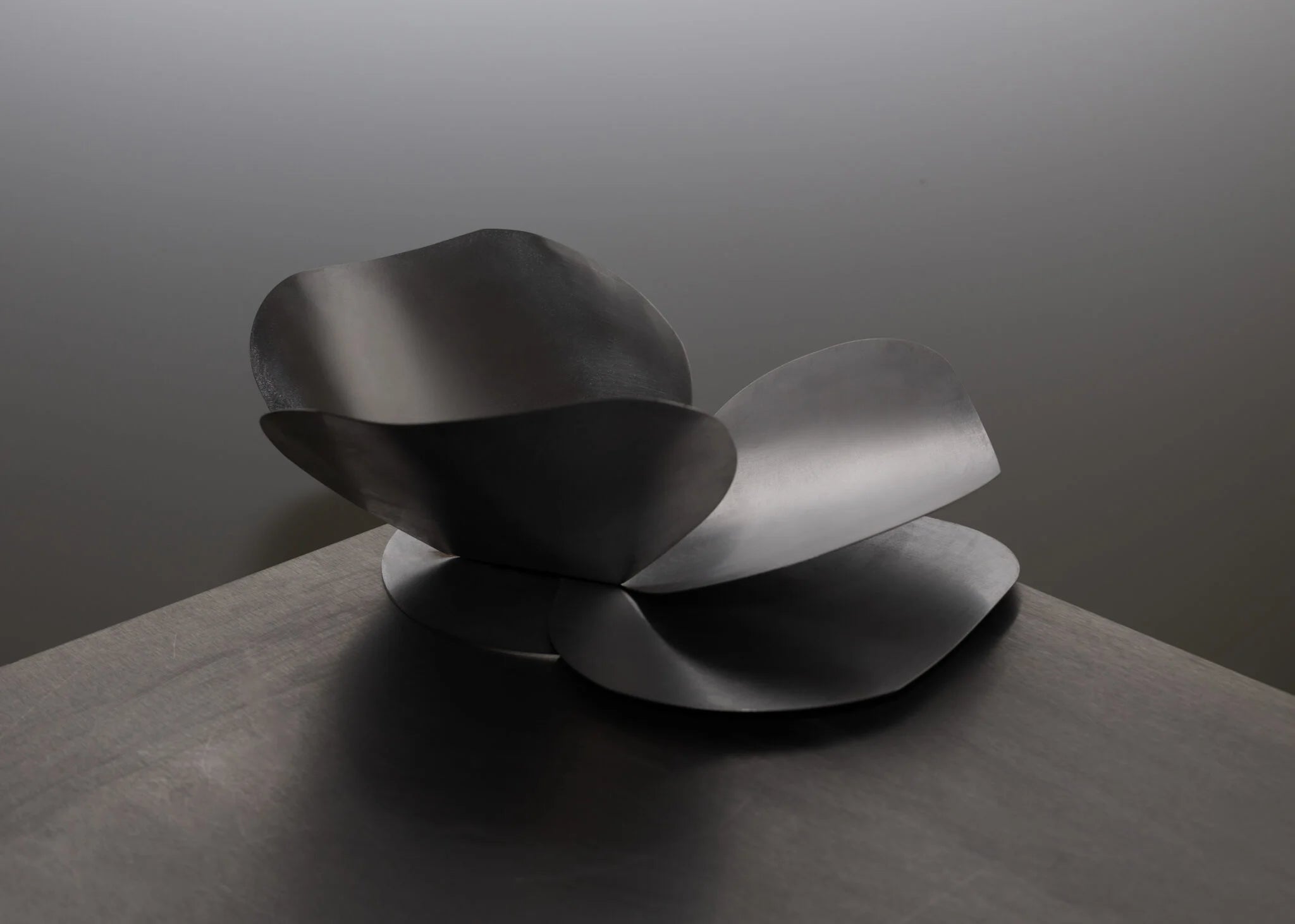Steel Bowl