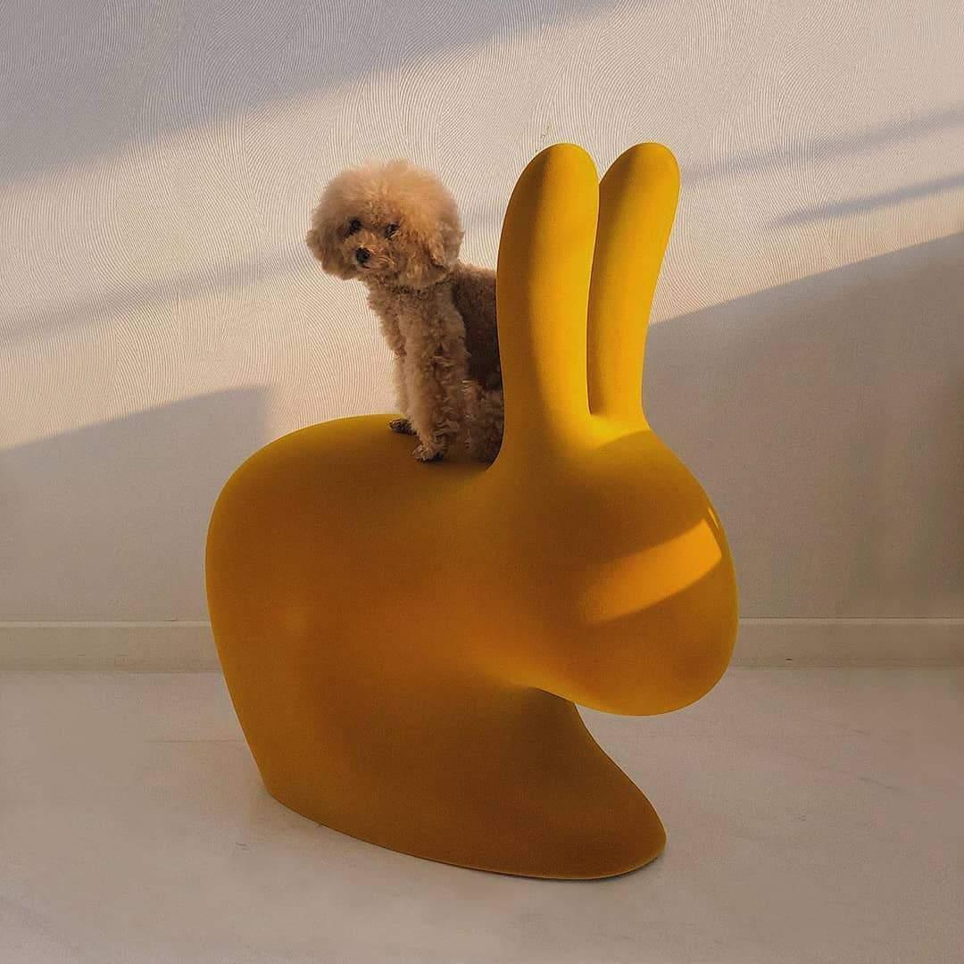 Krzesło RABBIT VELVET fioletowy Qeeboo Eye on Design