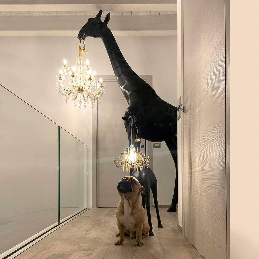 Lampa GIRAFFE IN LOVE M czarna Qeeboo Eye on Design