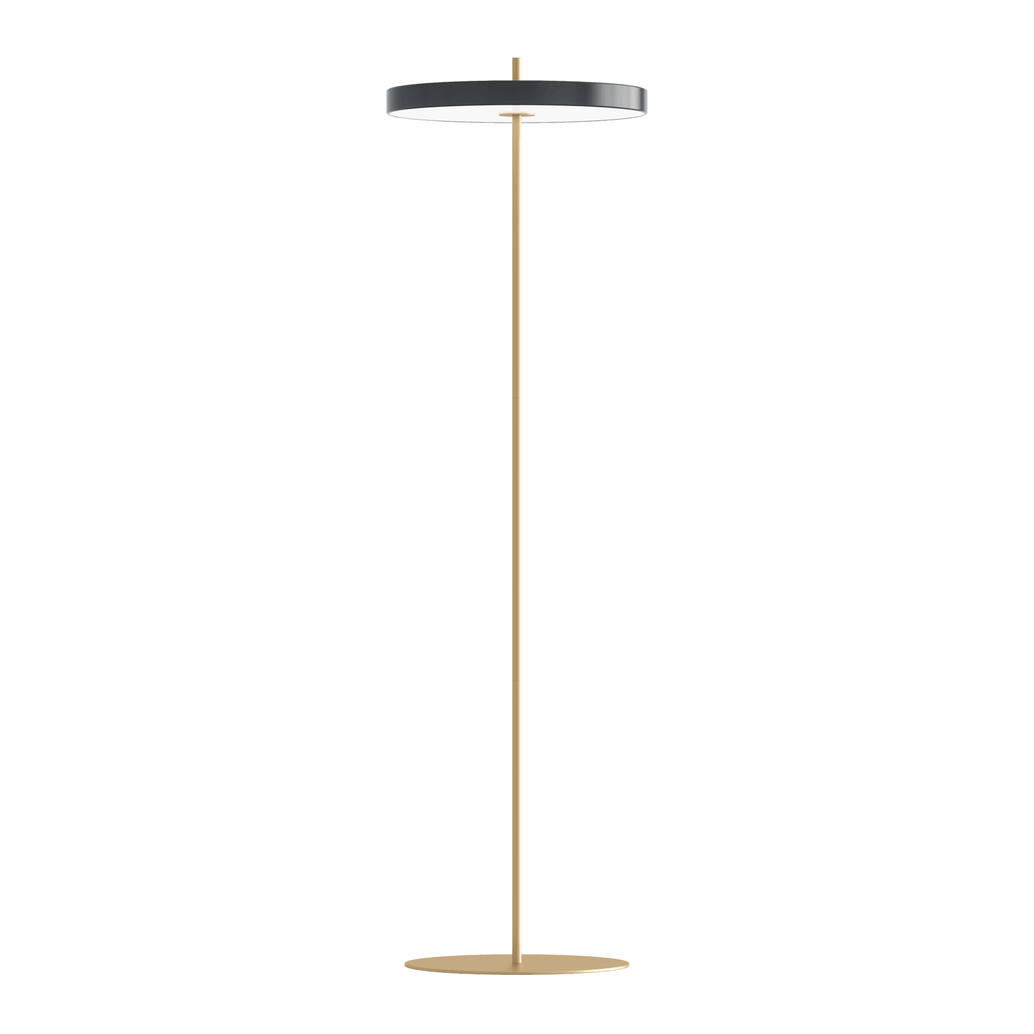 Lampa podłogowa ASTERIA FLOOR antracytowy UMAGE Eye on Design