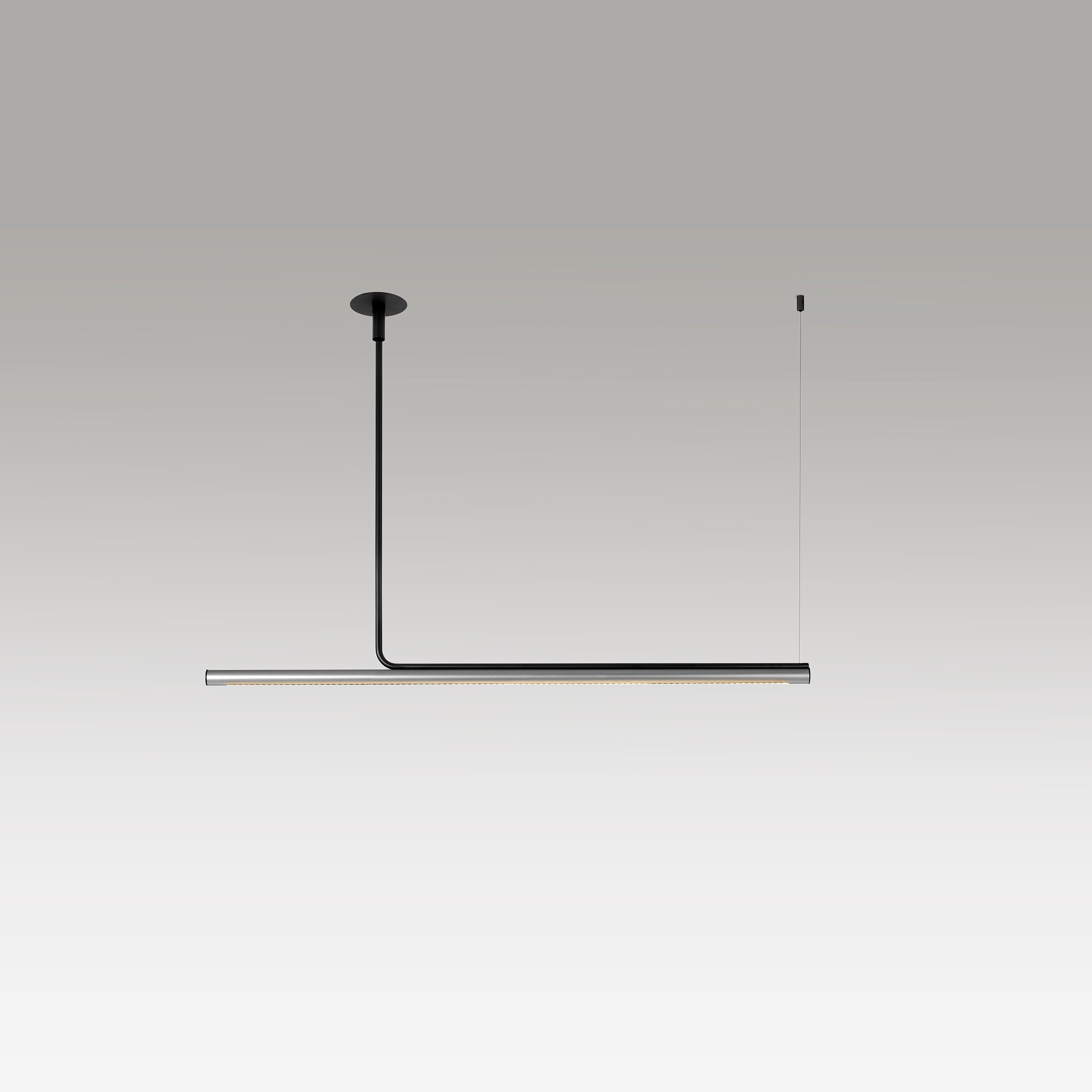 Pendelleuchte AMBROSIA PRO silber