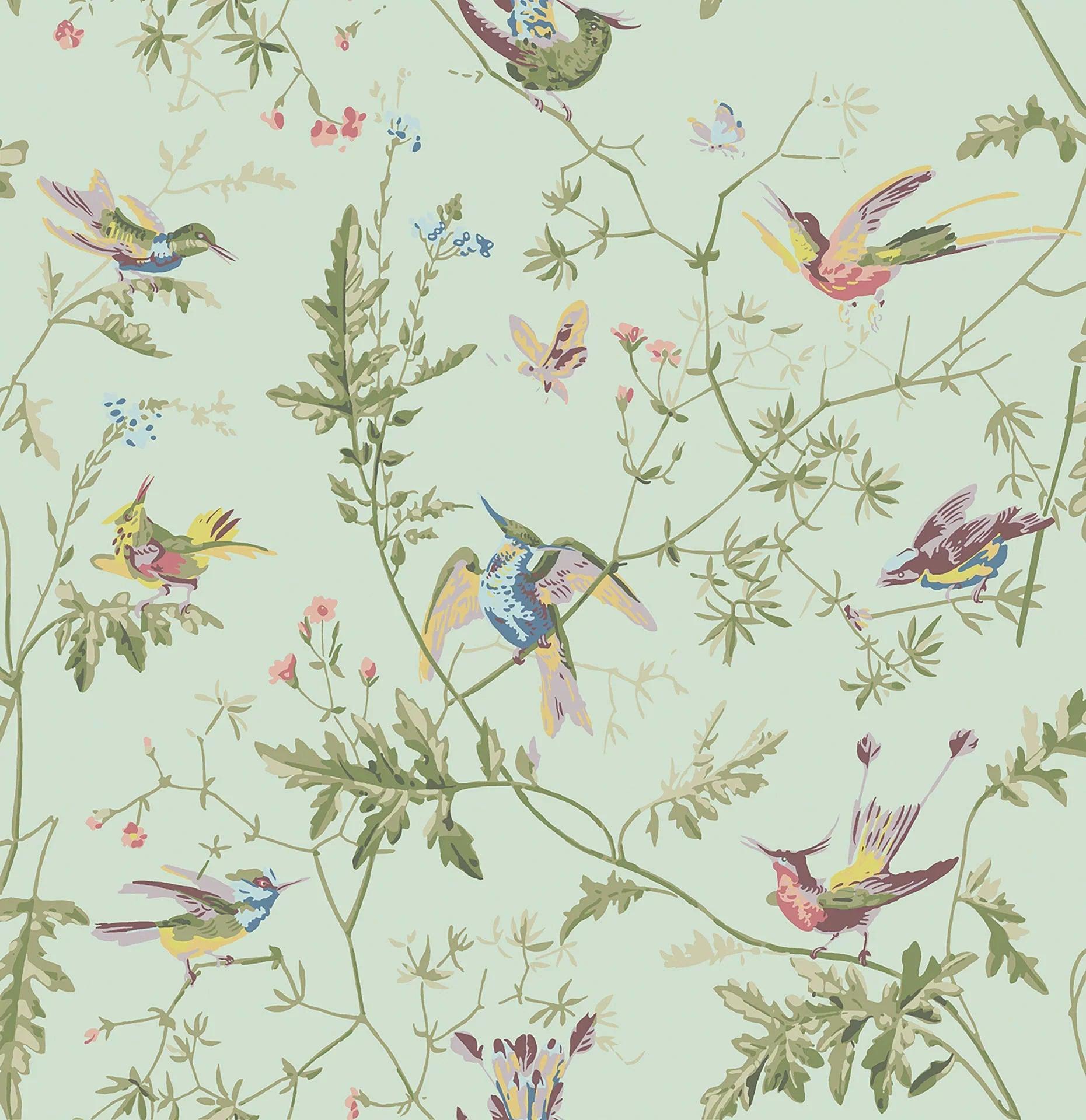 Tapeta ARCHIVE ANTHOLOGY - Hummingbirds oliwkowy na jasnej zieleni Cole & Son Default Title Eye on Design