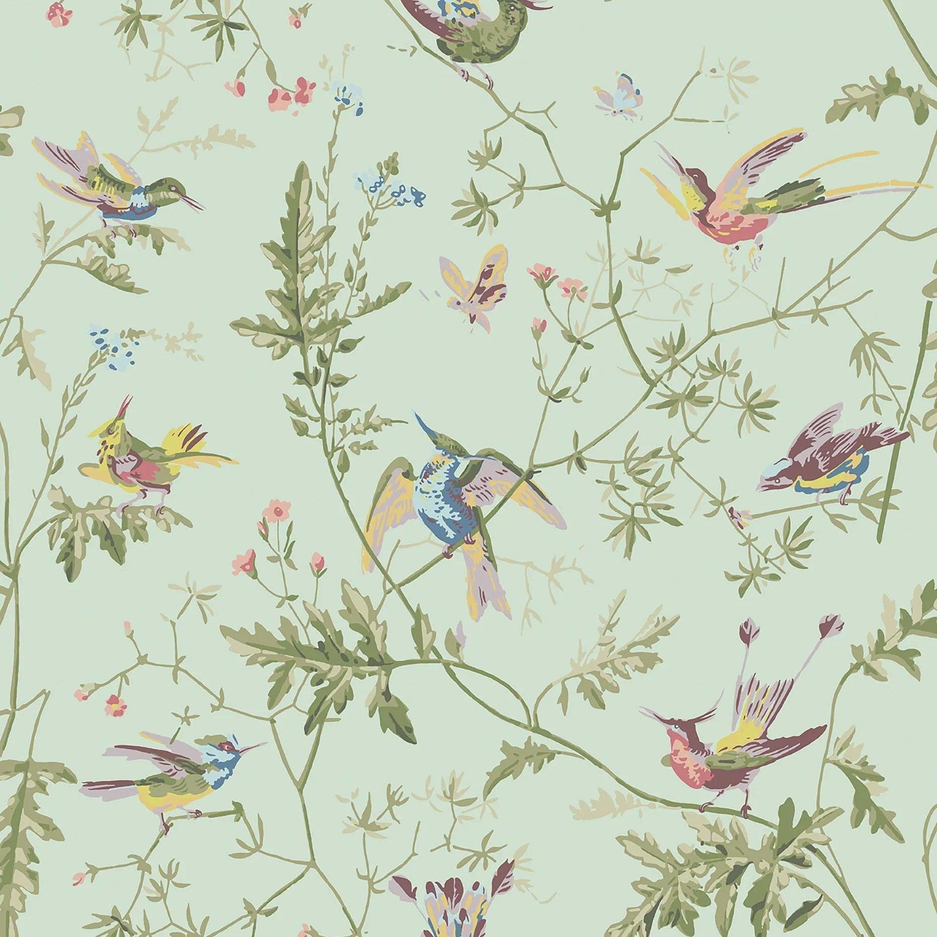 Tapeta ARCHIVE ANTHOLOGY - Hummingbirds oliwkowy na jasnej zieleni Cole & Son Default Title Eye on Design