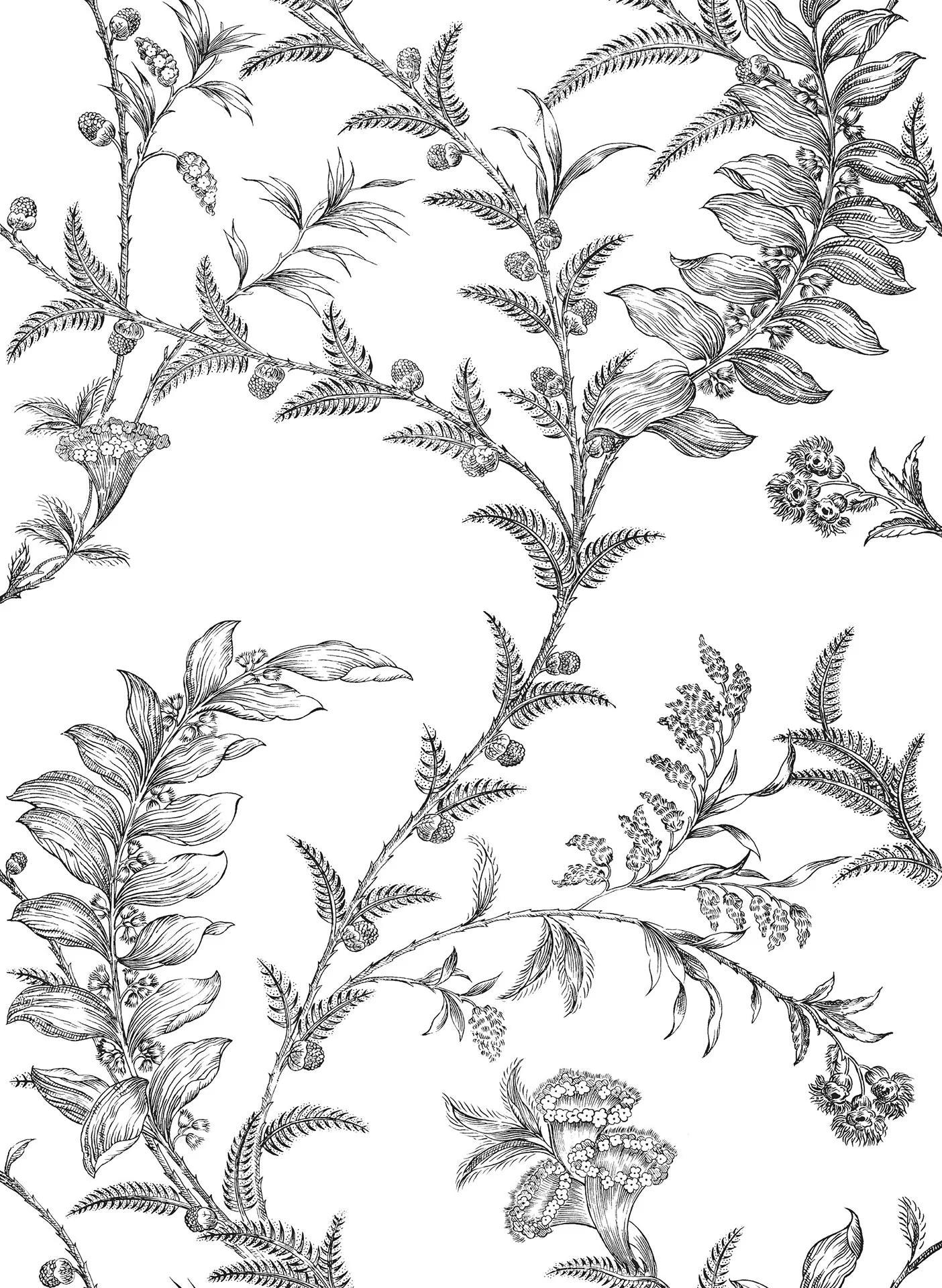 Tapeta ARCHIVE TRADITIONAL - Ludlow Cole & Son Eye on Design