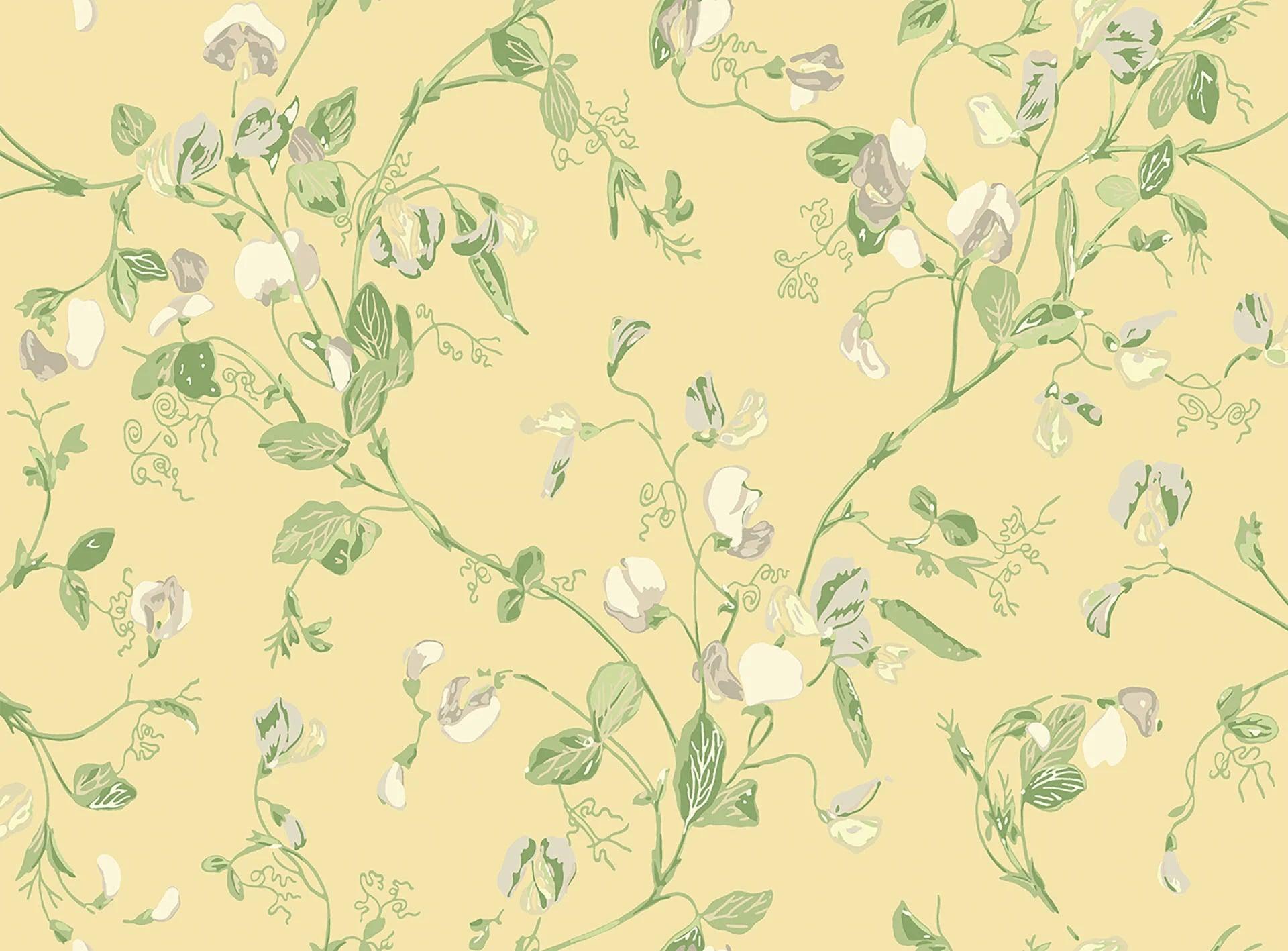 Tapeta ARCHIVE TRADITIONAL - Sweet Pea Cole & Son Eye on Design