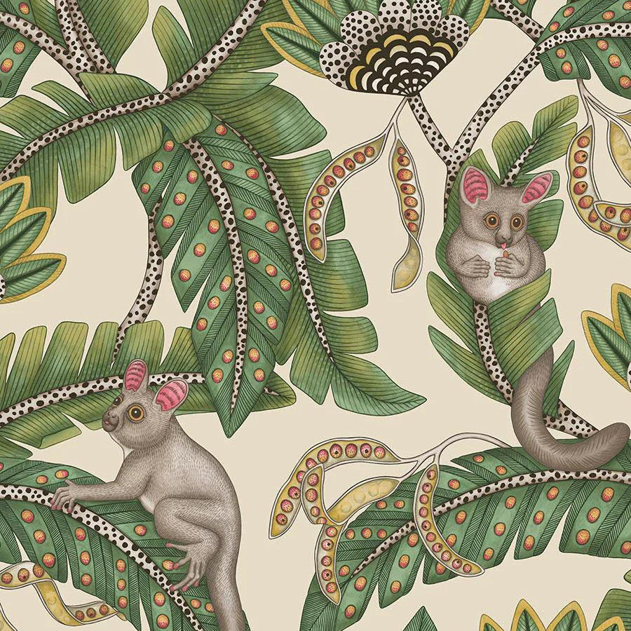 Tapeta ARDMORE JABULA - Bush Baby zieleń na pergaminie Cole & Son Default Title Eye on Design