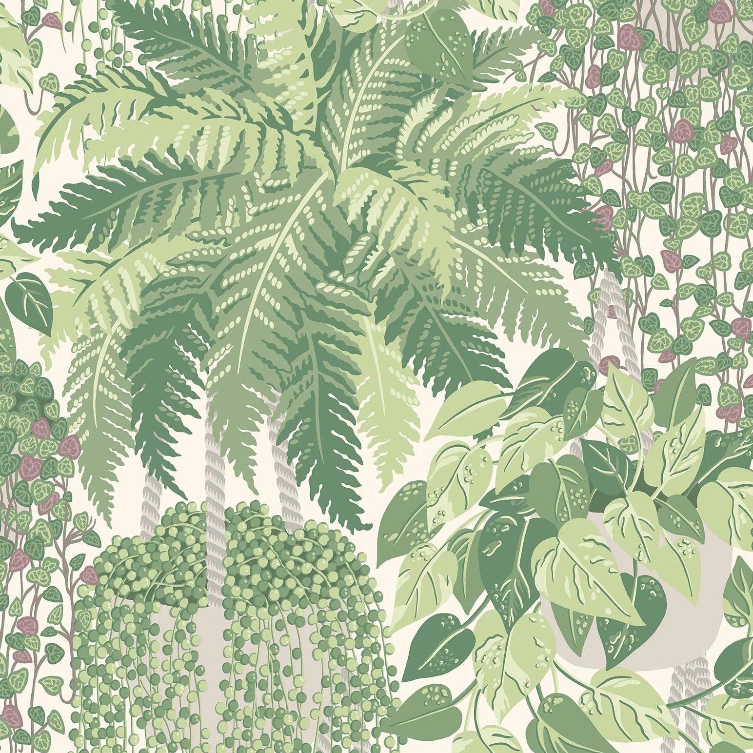 Tapeta BOTANICAL BOTANICA - Fern zielony Cole & Son Default Title Eye on Design
