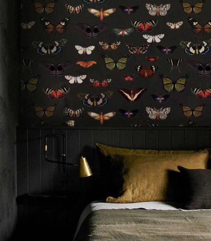 Tapeta Colorful Butterfly Green Wallcolors Eye on Design