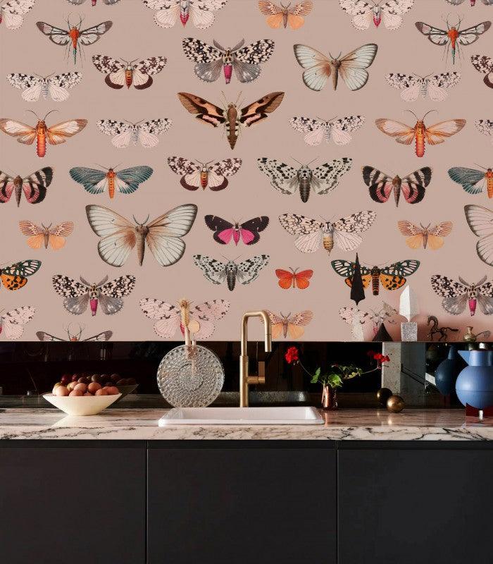 Tapeta Colorful Butterfly Pink Wallcolors Eye on Design