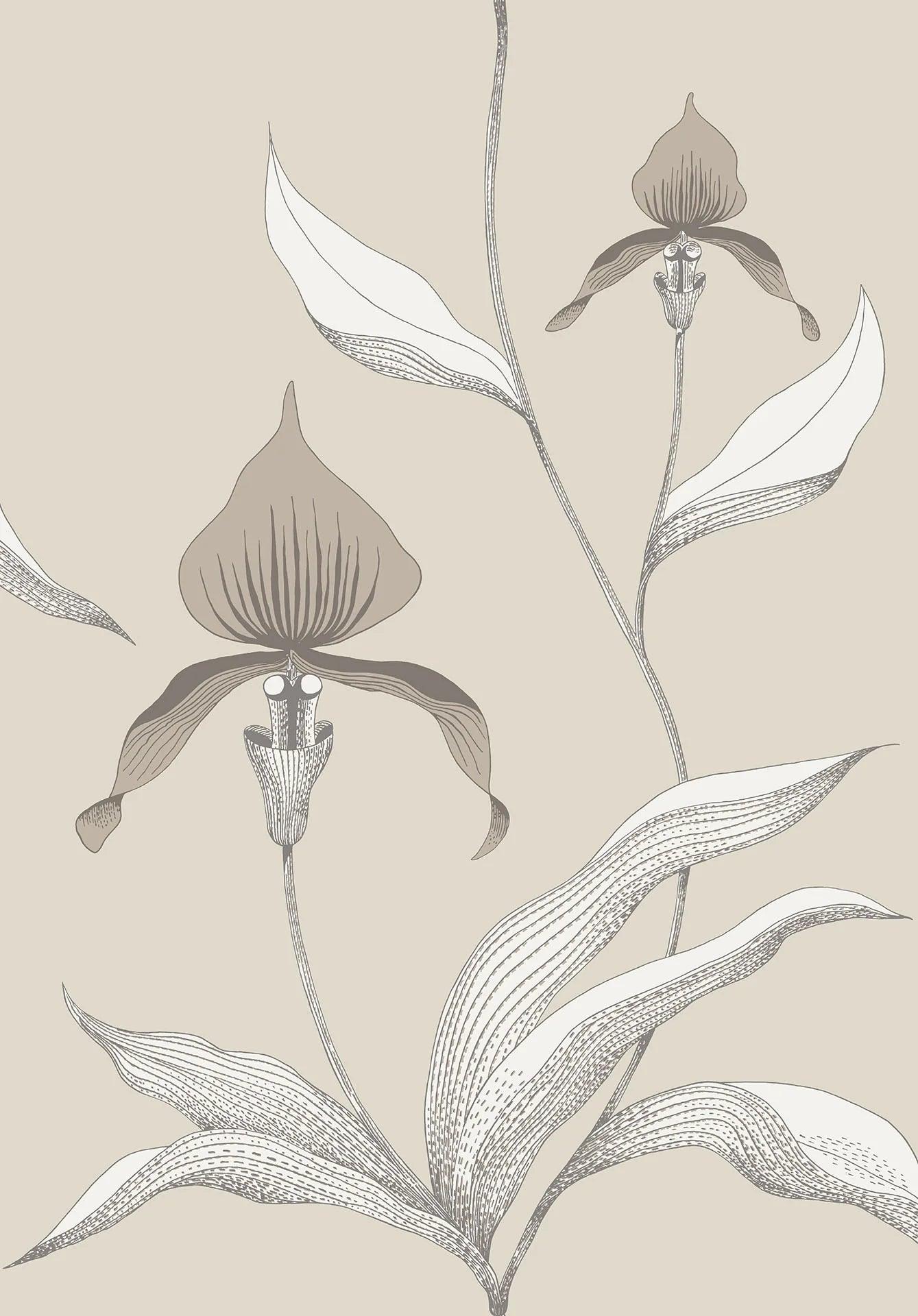 Tapeta CONTEMPORARY COLLECTION - Orchid Cole & Son Biel na beżu Eye on Design