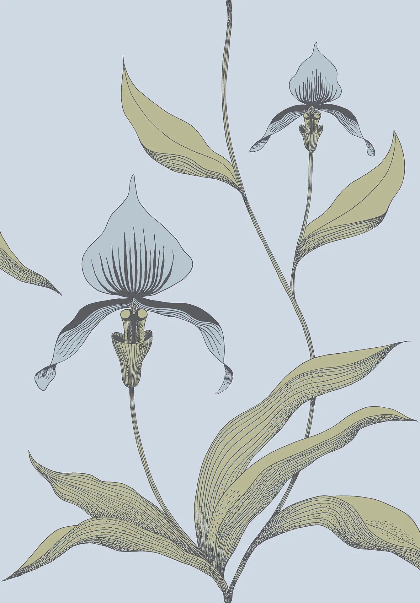 Tapeta CONTEMPORARY COLLECTION - Orchid Cole & Son Lodowy błękit i oliwkowy na błękicie Eye on Design