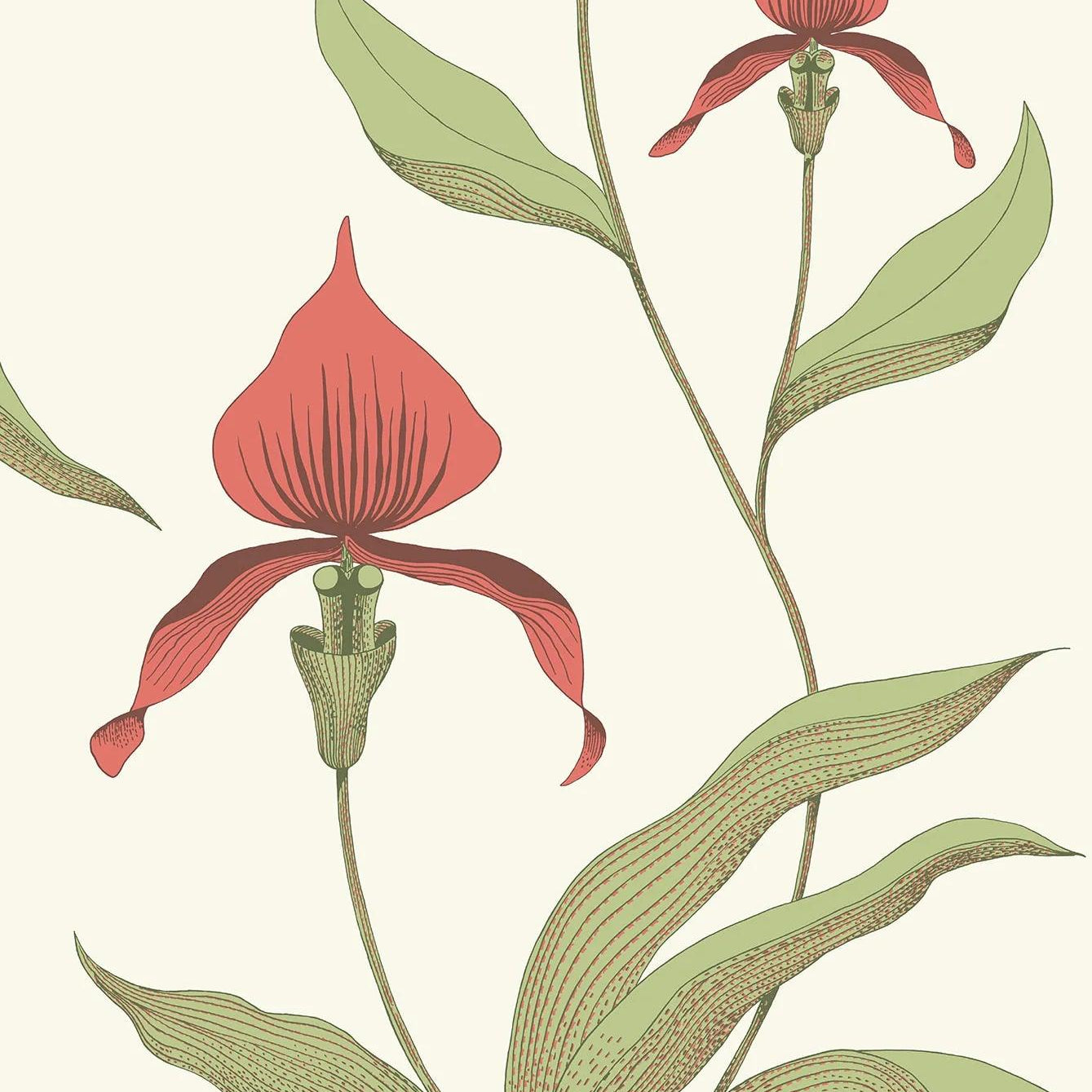 Tapeta CONTEMPORARY COLLECTION - Orchid Cole & Son Czerwień i oliwkowy na pergaminie Eye on Design