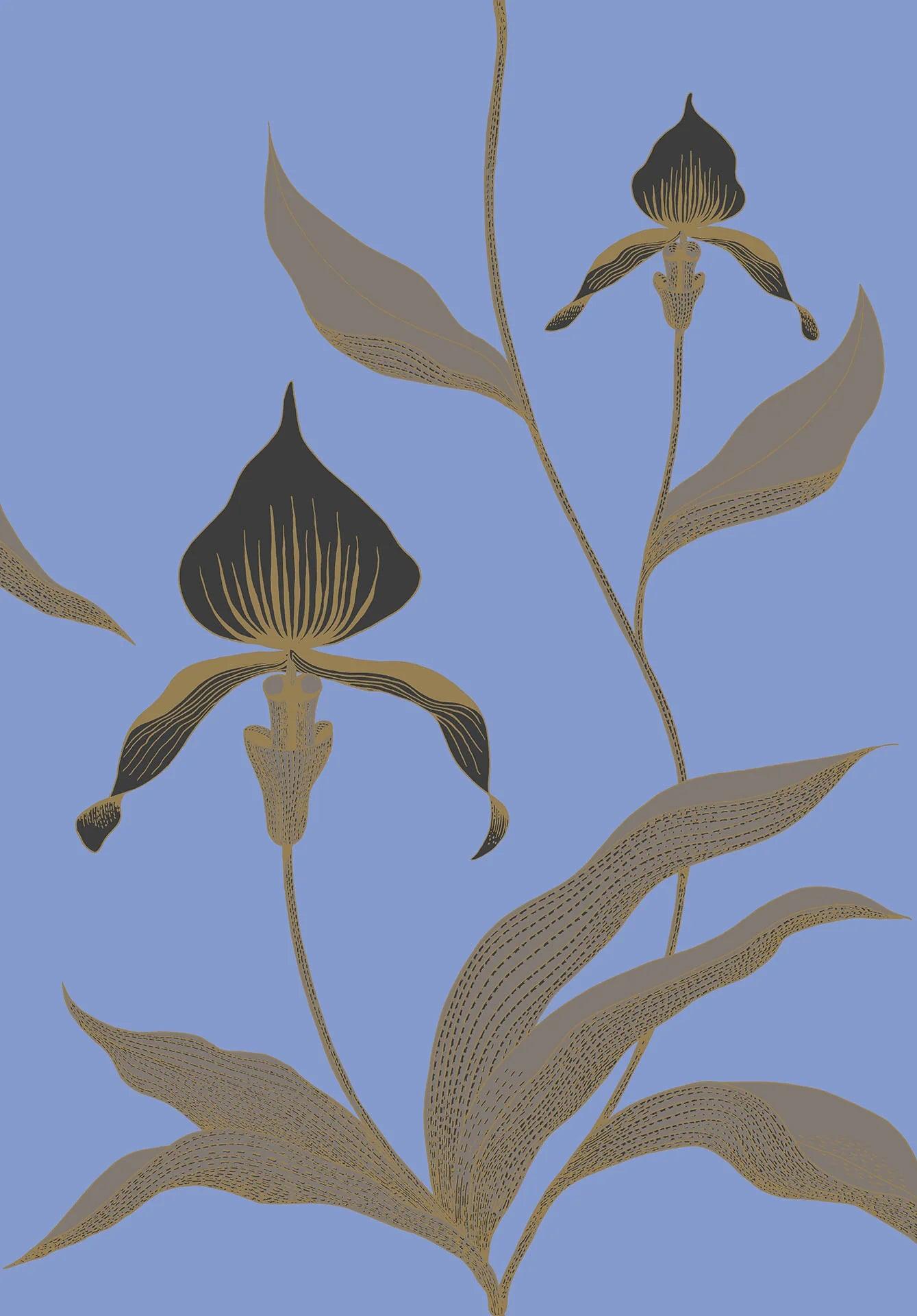 Tapeta CONTEMPORARY COLLECTION - Orchid Cole & Son Węgiel drzewny i metaliczne złoto na hiacyntowym błękicie Eye on Design