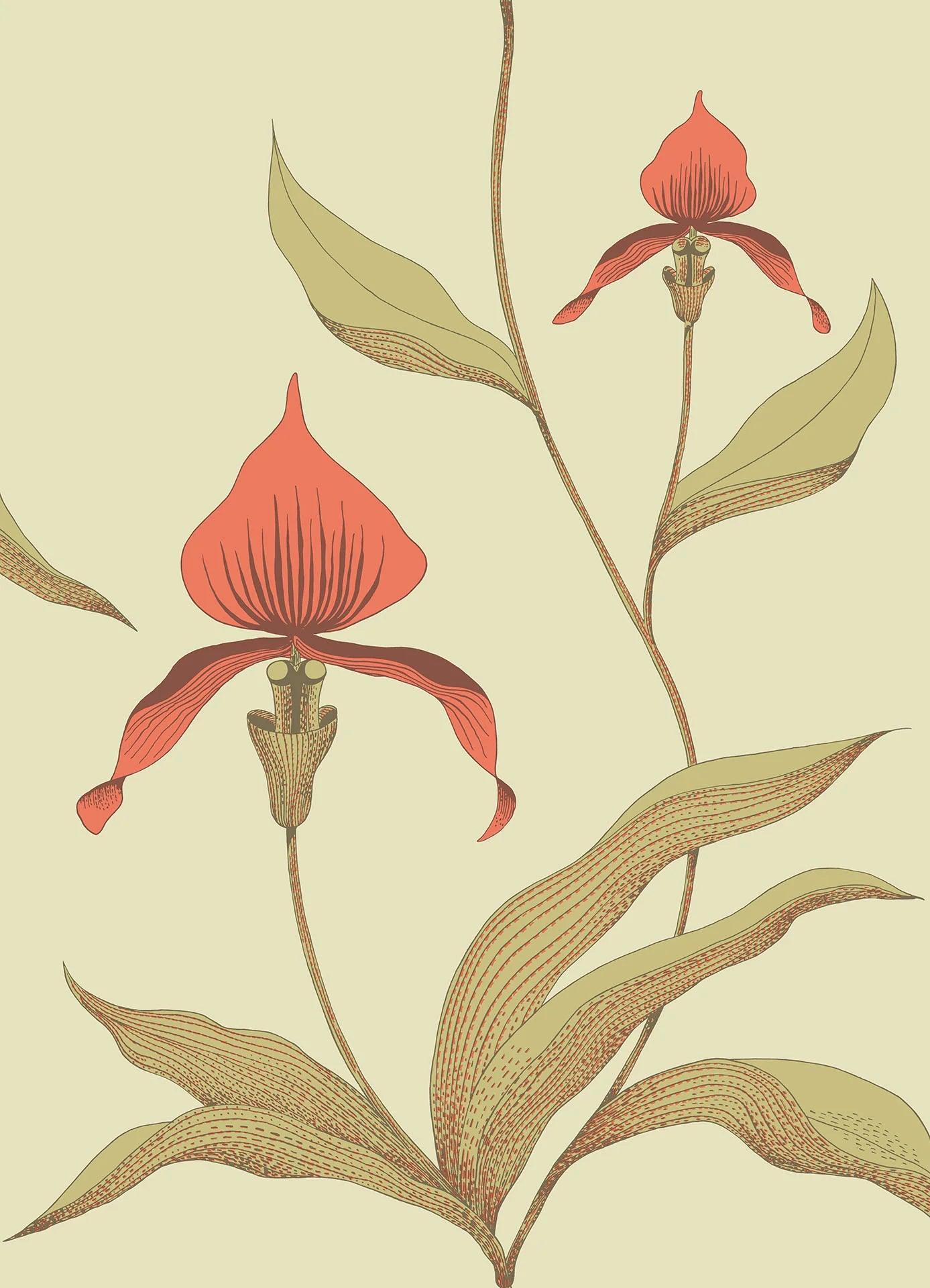 Tapeta CONTEMPORARY COLLECTION - Orchid Cole & Son Czerwień i zieleń na miękkiej oliwce Eye on Design