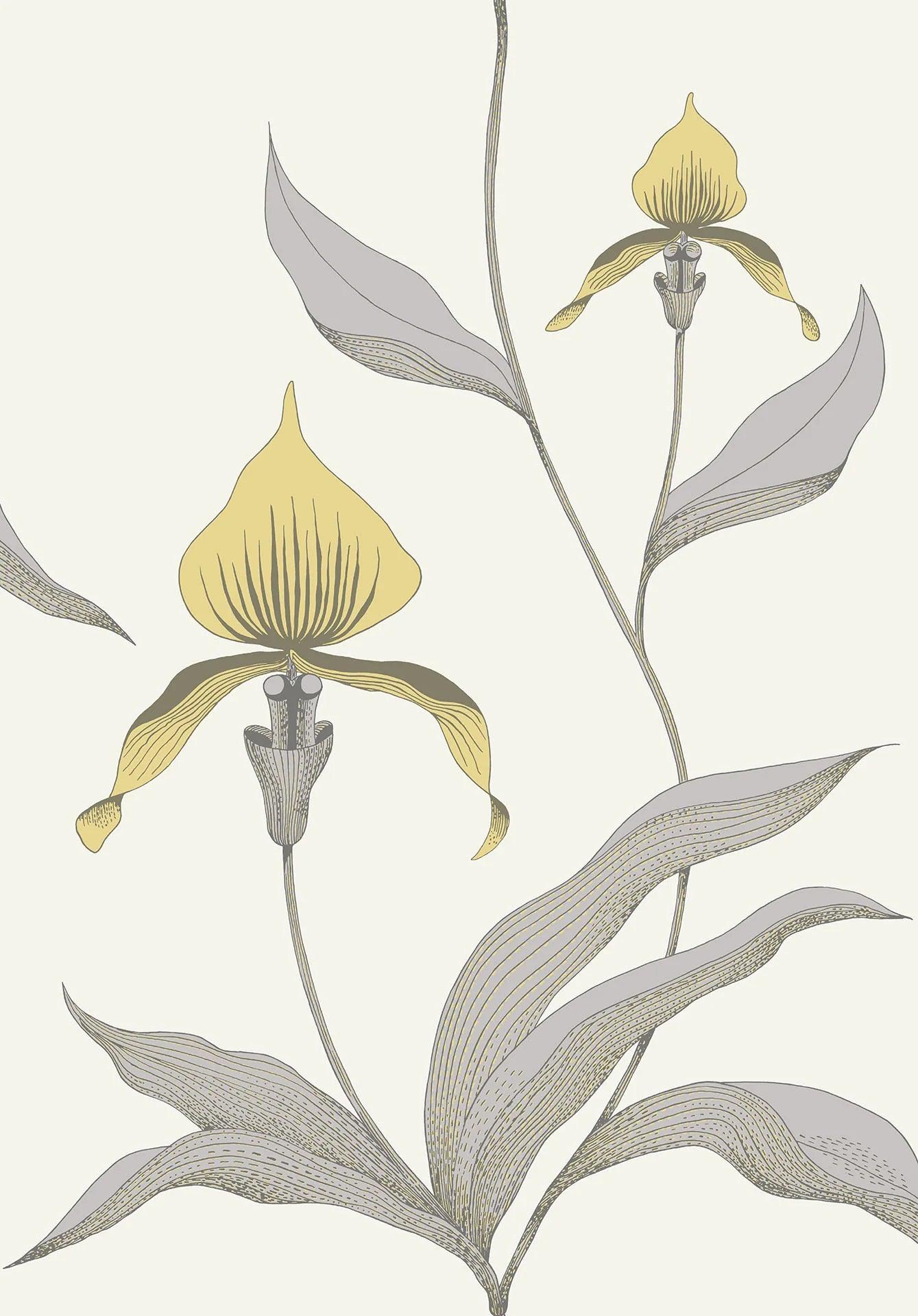 Tapeta CONTEMPORARY COLLECTION - Orchid Cole & Son Cytrynowy i szary na kredzie Eye on Design